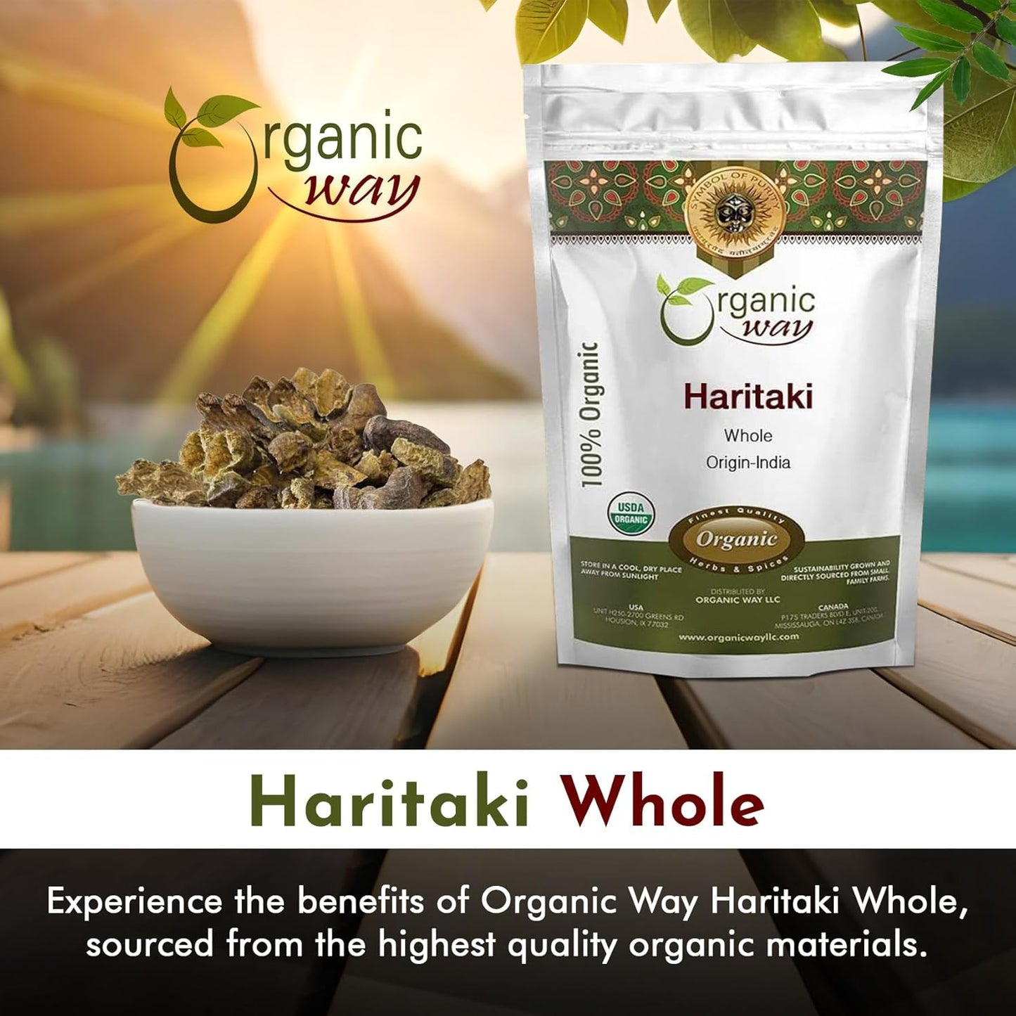 Organic Haritaki Whole (Chebulic Myrobalan) - 100% Raw from India | USDA & Kosher Certified | Vegan, Non-GMO, Gluten Free | 4 oz Pack