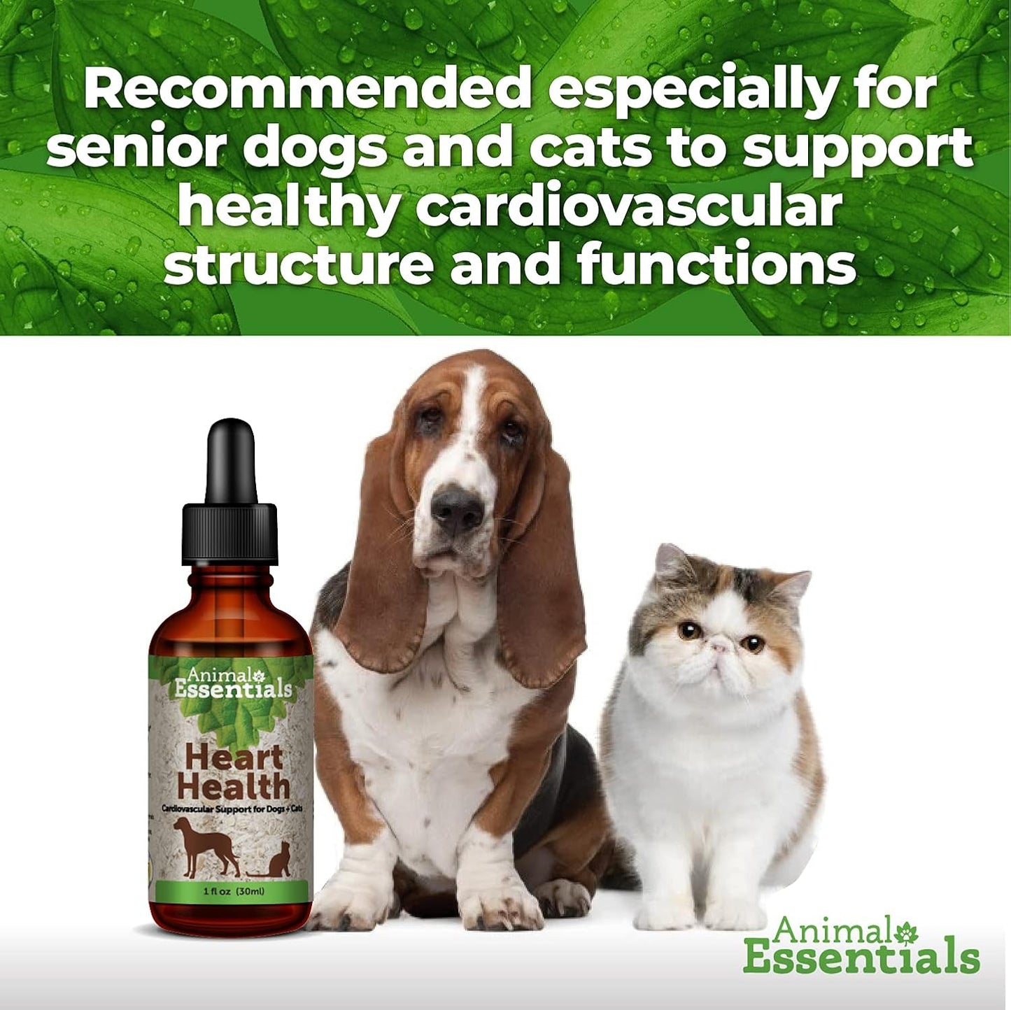 Organic Hawthorn Berry Herbal Tincture for Dogs & Cats - Cardiovascular Support Supplement, Healthy Heart Formula - 2 Fl Oz