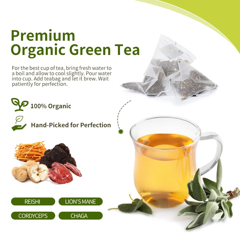 Organic Herbal Treasure Mushroom Green Tea with Lions Mane, Reishi, Cordyceps, Chaga - 15 Bags