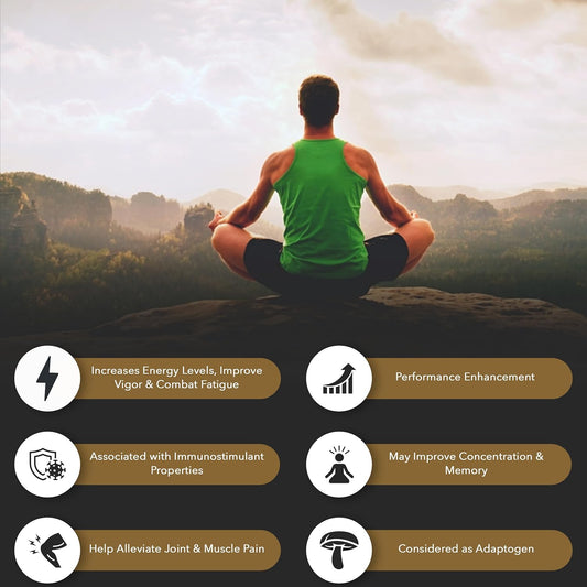 Organic Himalayan Shilajit Gel for Energy, Digestive Health, and Immune Support - Natural Black Resin with Fulvic Acid, Iron, and Magnesium - 60g