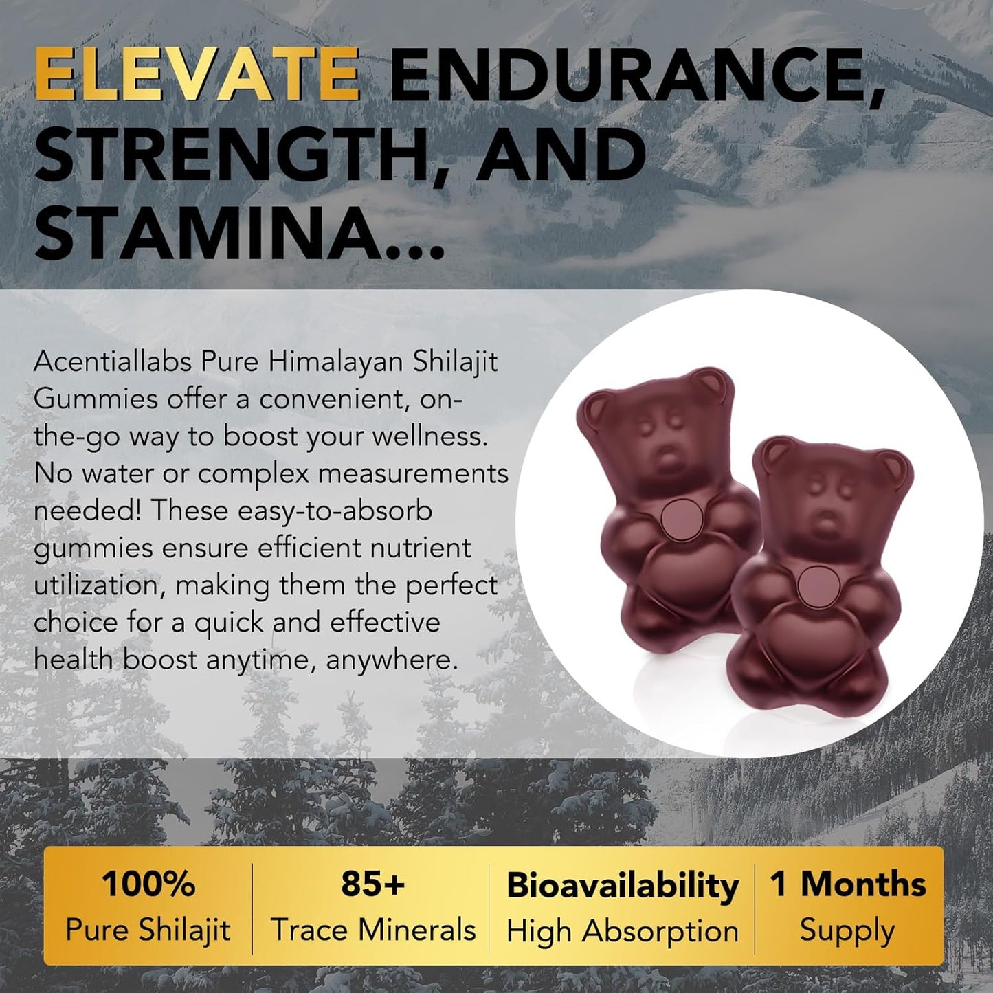 Organic Himalayan Shilajit Gummies - Rich in Micronutrients for Men & Women - Non-GMO, No Added Sugar - 60 Count