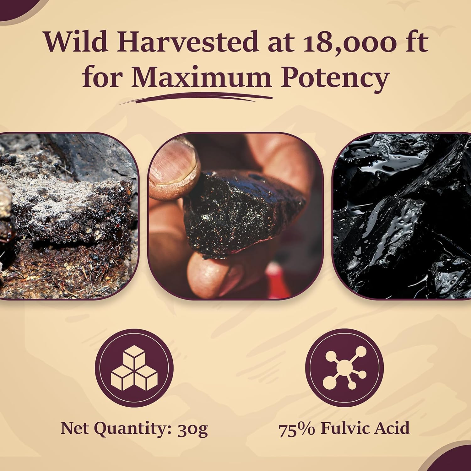 Organic Himalayan Shilajit Resin 30g - 120 Servings, 75%+ Fulvic Acid, 85+ Trace Minerals for Energy & Immune Support