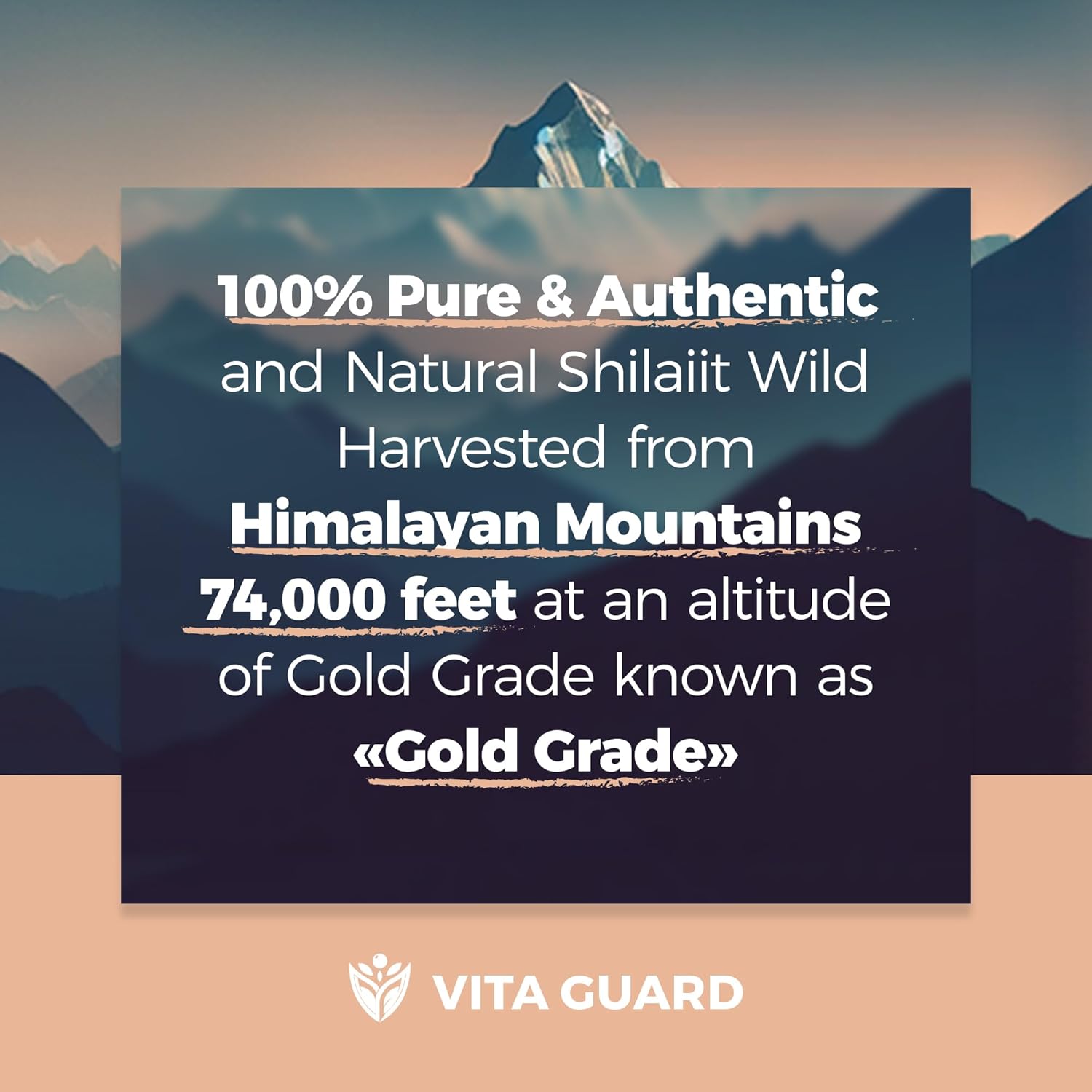 Organic Himalayan Shilajit Resin Supplement - 500mg Pure Shilajit with 85+ Humic Acid for Metabolism & Immune Support - 100 Servings, 50g