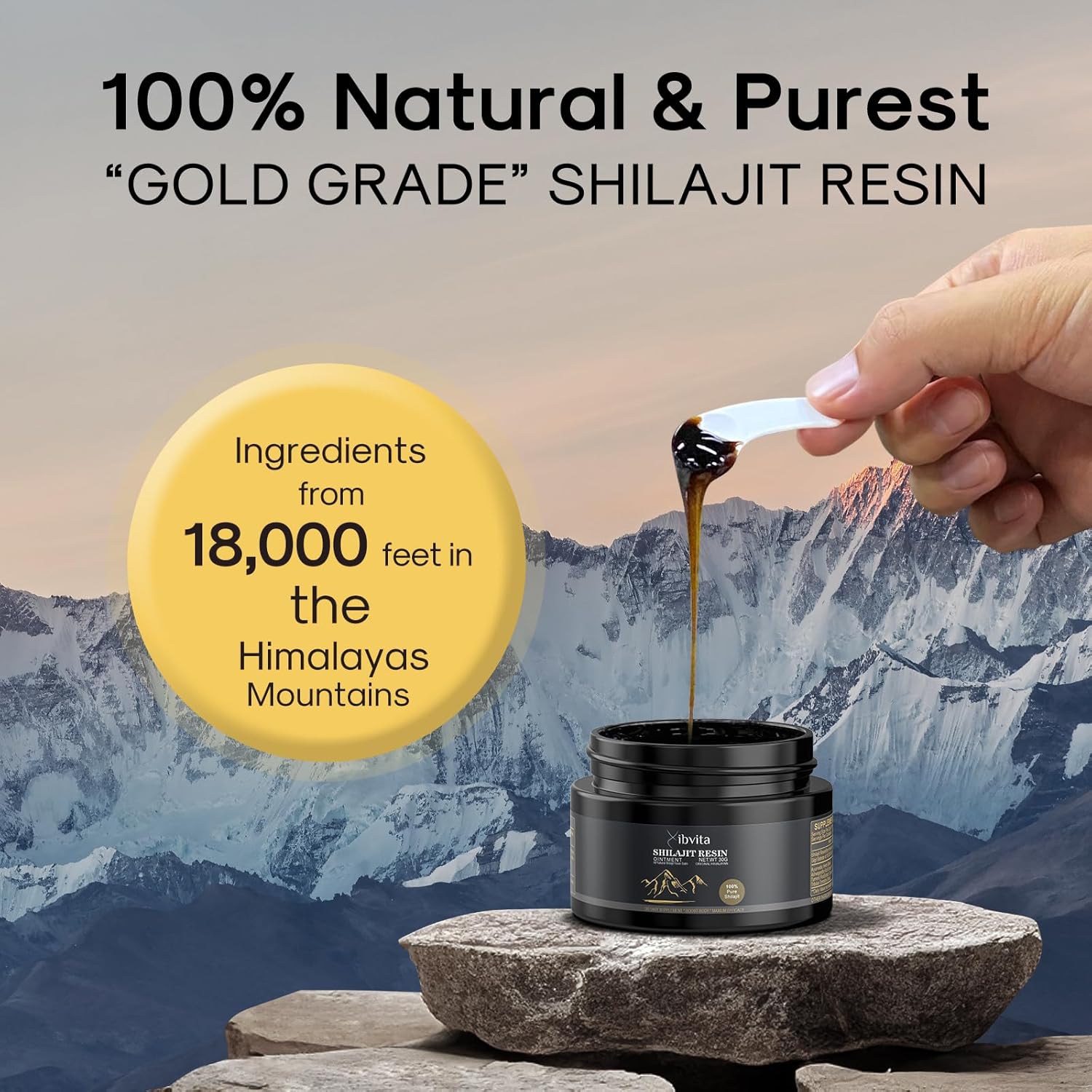 Organic Himalayan Shilajit Resin Supplement - 600mg for Men and Women, Natural Energy Boost with Fulvic Acid & 85+ Trace Minerals - 30g