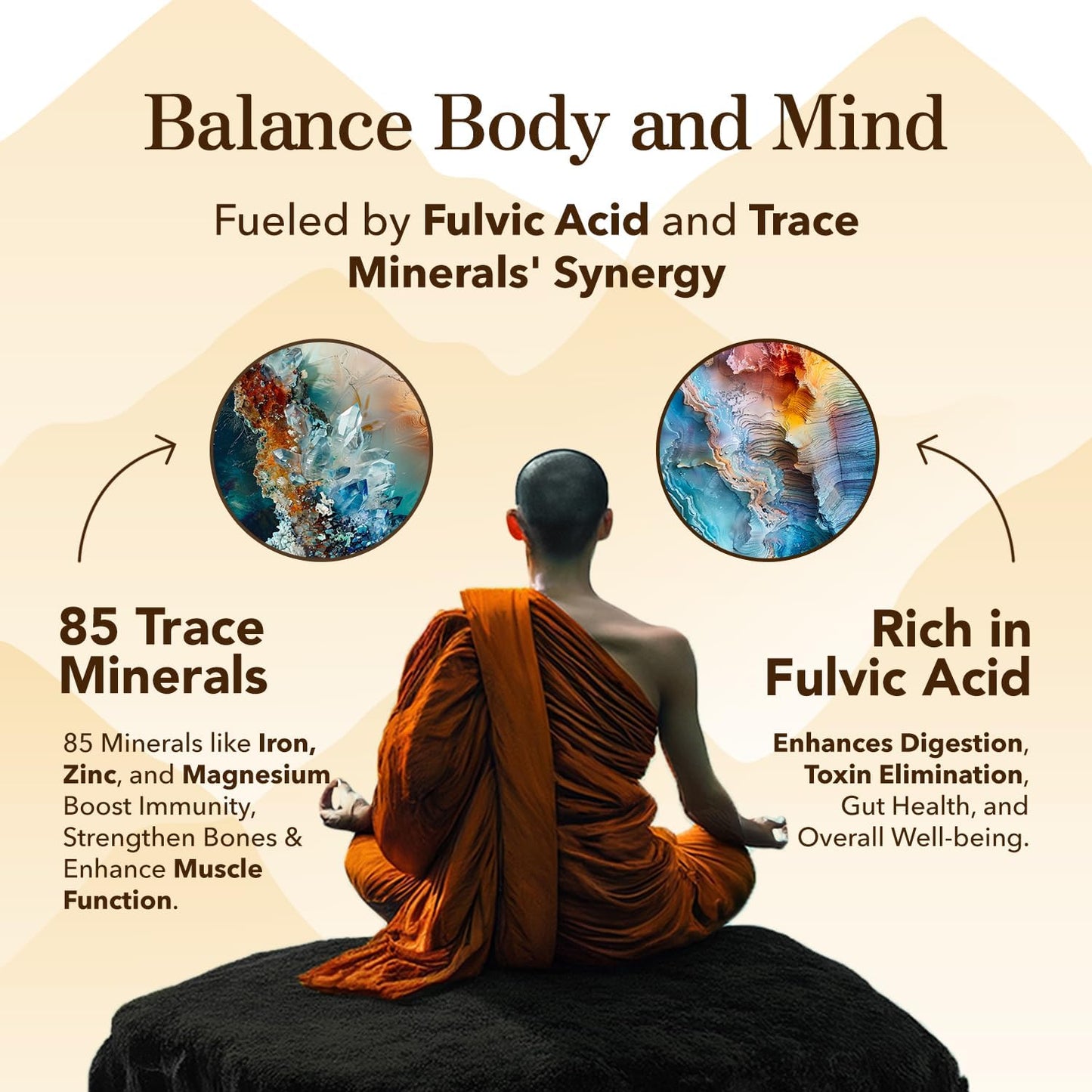 Organic Himalayan Shilajit Resin with 85+ Trace Minerals for Energy & Immune Support - Gold Grade 800MG, 60+ Servings