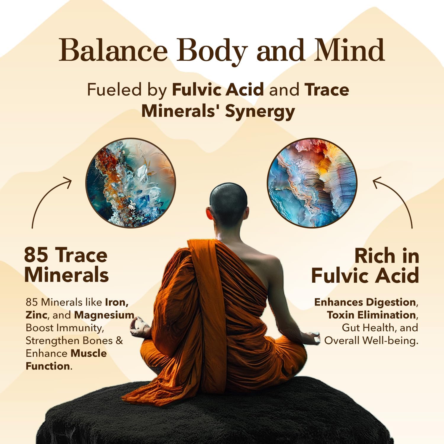 Organic Himalayan Shilajit Resin with 85+ Trace Minerals for Energy & Immune Support - Gold Grade 800MG, 60+ Servings