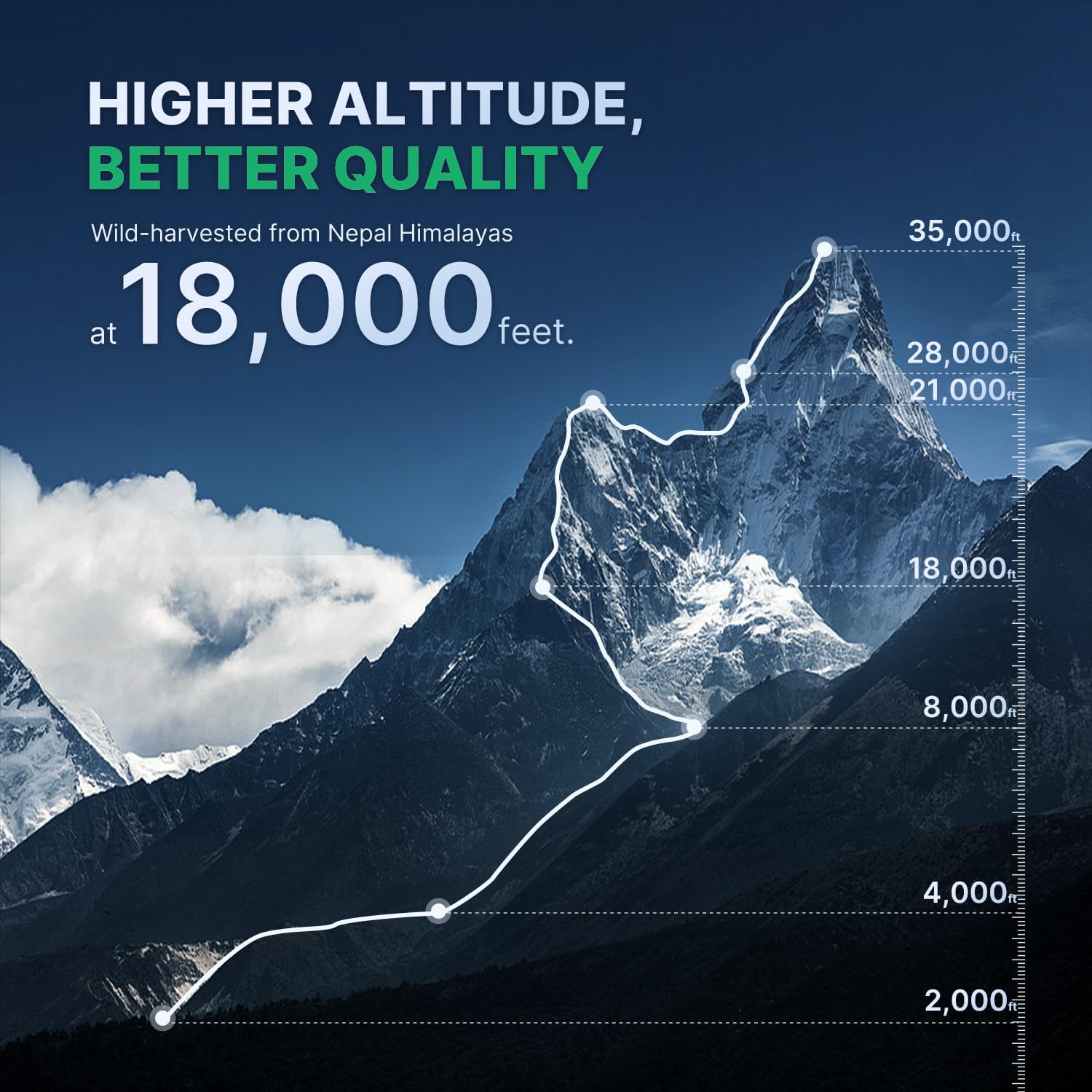 Organic Himalayan Shilajit Resin with Fulvic Acid and Trace Minerals for Energy and Immune Support - Pure Blackish-Brown Resin for Men and Women