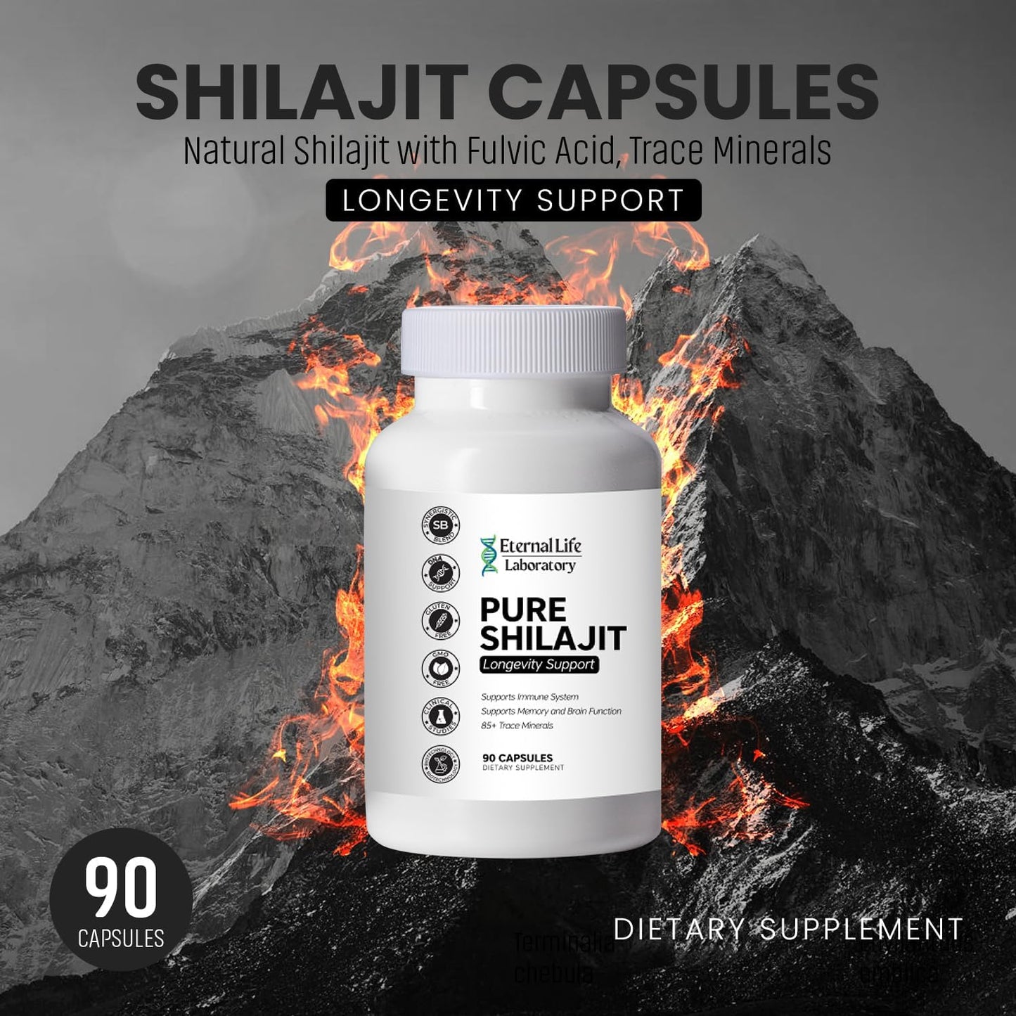 Organic Himalayan Shilajit Supplement with Fulvic Acid and Trace Minerals - 1000mg, 90 Count - Boost Energy and Immune System for Men and Women