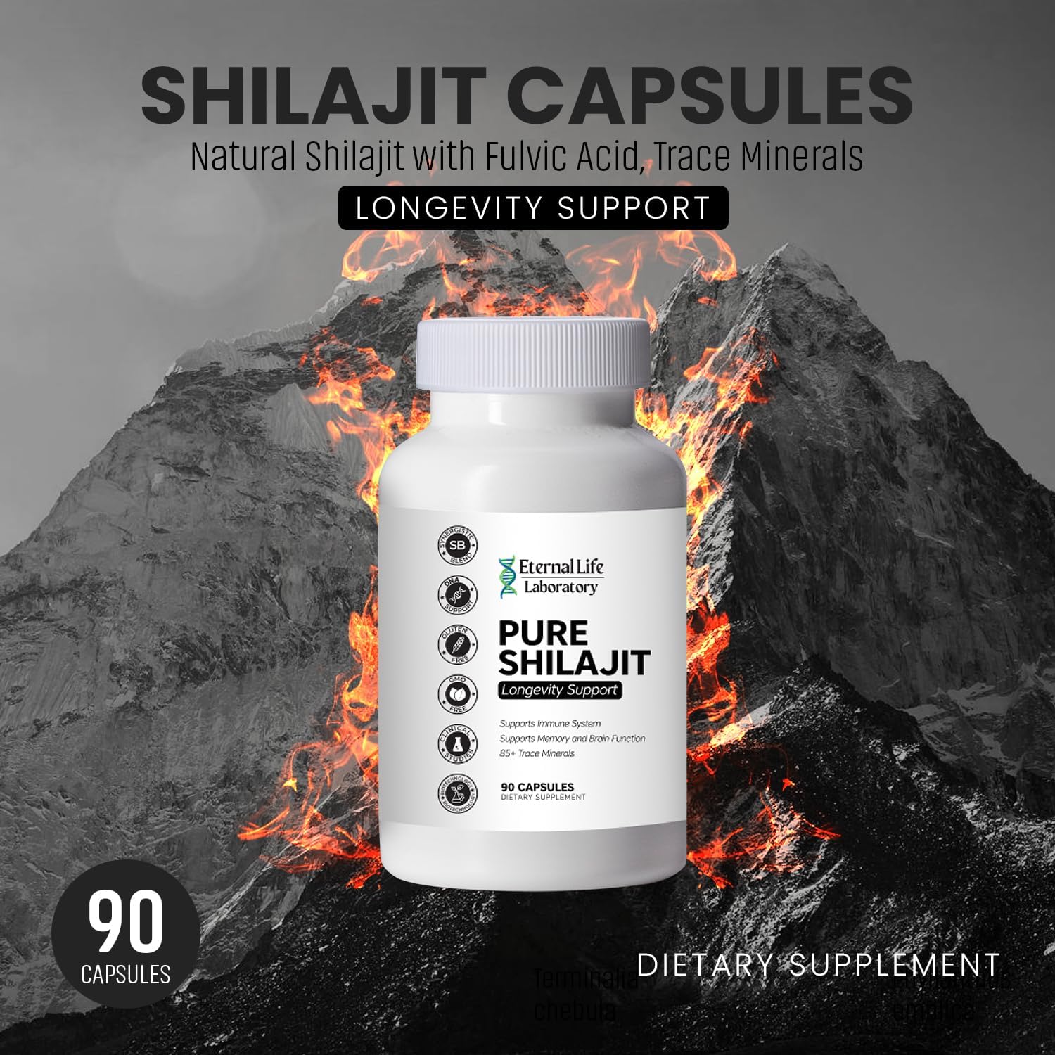 Organic Himalayan Shilajit Supplement with Fulvic Acid and Trace Minerals - 1000mg, 90 Count - Boost Energy and Immune System for Men and Women