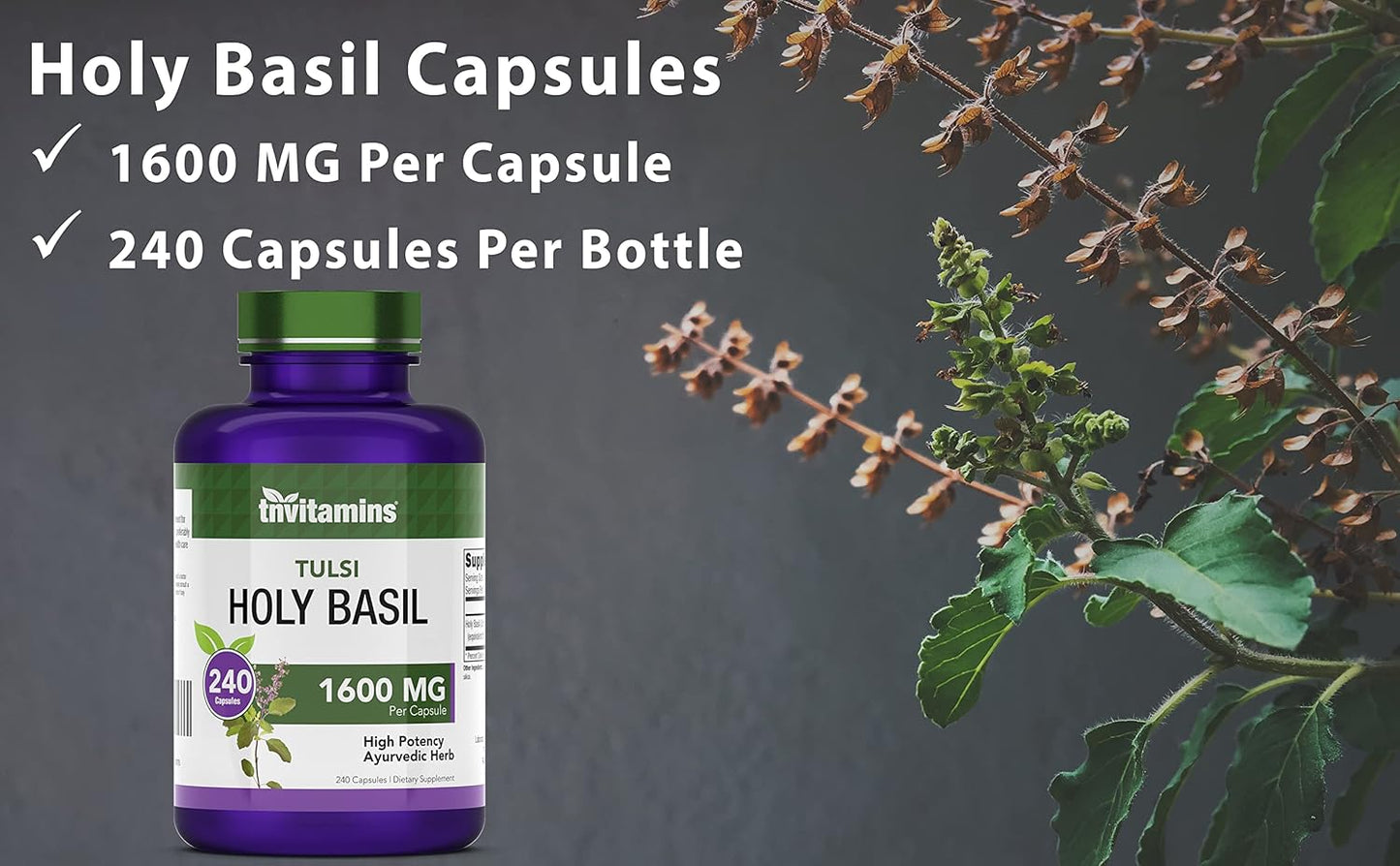 Organic Holy Basil Capsules (1600 MG - 240 Capsules) | 8 Month Supply | Supports Stress Relief & Mental Well-being* | Tulsi Leaf Extract | Adaptogenic & Ayurvedic Herb
