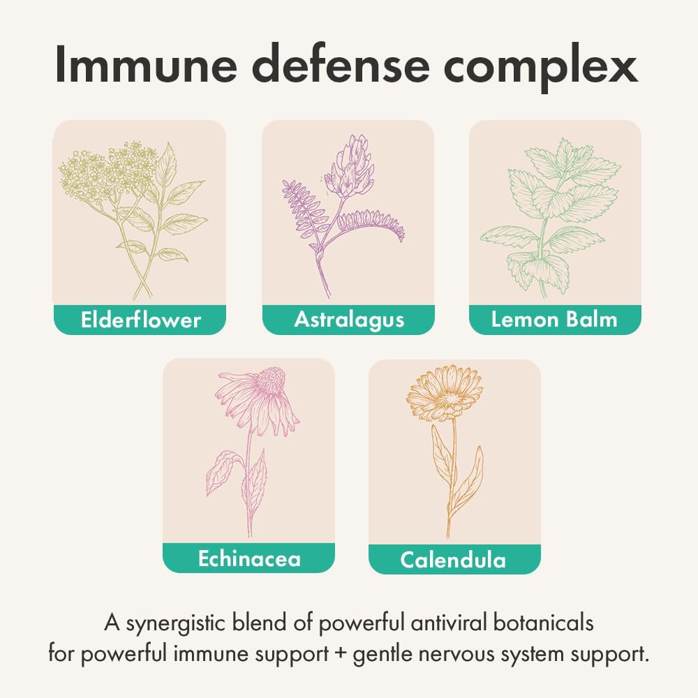 Organic Immune Booster Supplement for Adults - Immunity Hero™ with Echinacea and Astralagus - Herbal Support