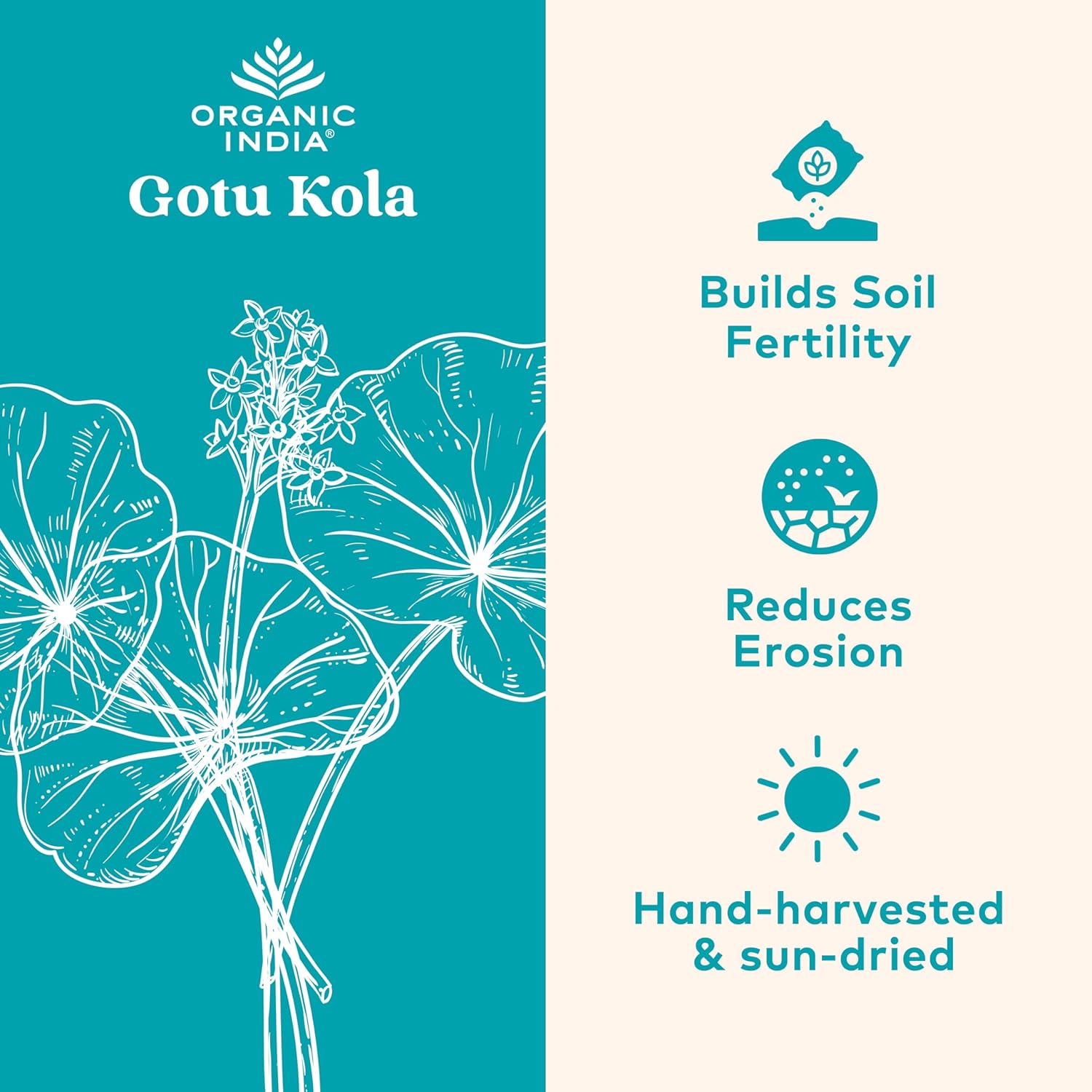 Organic India Gotu Kola Capsules - Herbal Adaptogen for Brain & Nervous System Support - USDA Certified Organic - Vegan & Gluten-Free - 90 Count