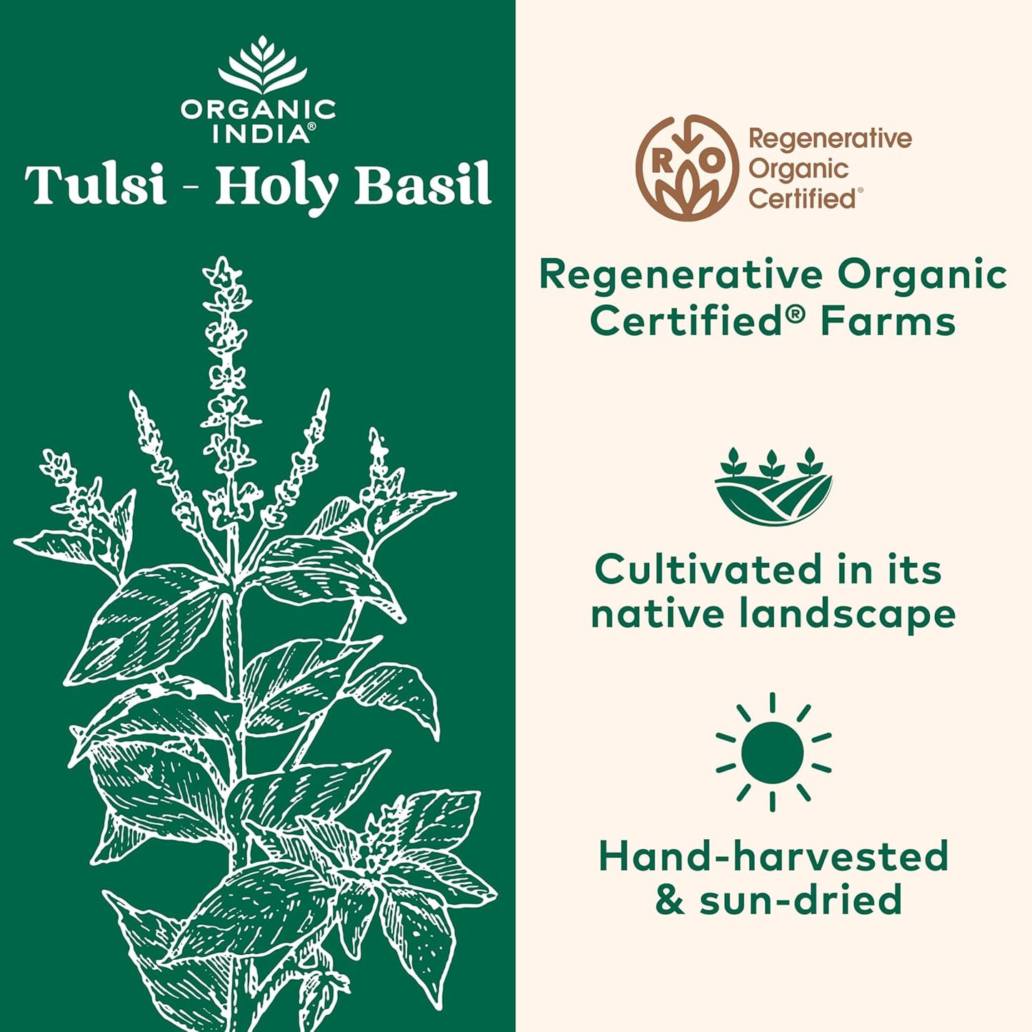 Organic India Tulsi Holy Basil Capsules - Herbal Supplement for Immune Support and Stress Relief - 60 Capsules, Vegan, Gluten-Free, Non-GMO
