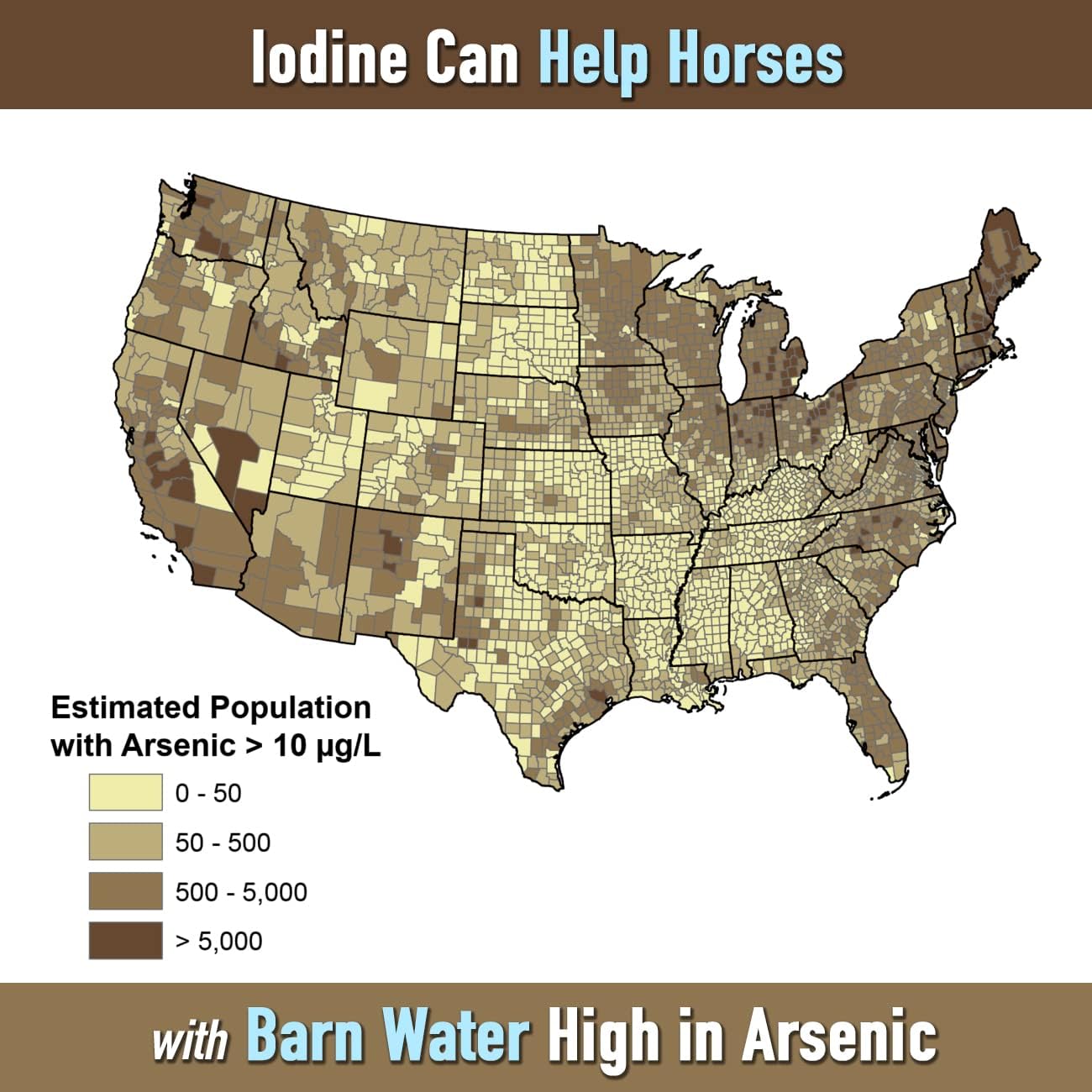 Organic Iodine Nutritional Supplement for Horses & Animals - 2 lbs. - Includes 18 Amino Acids
