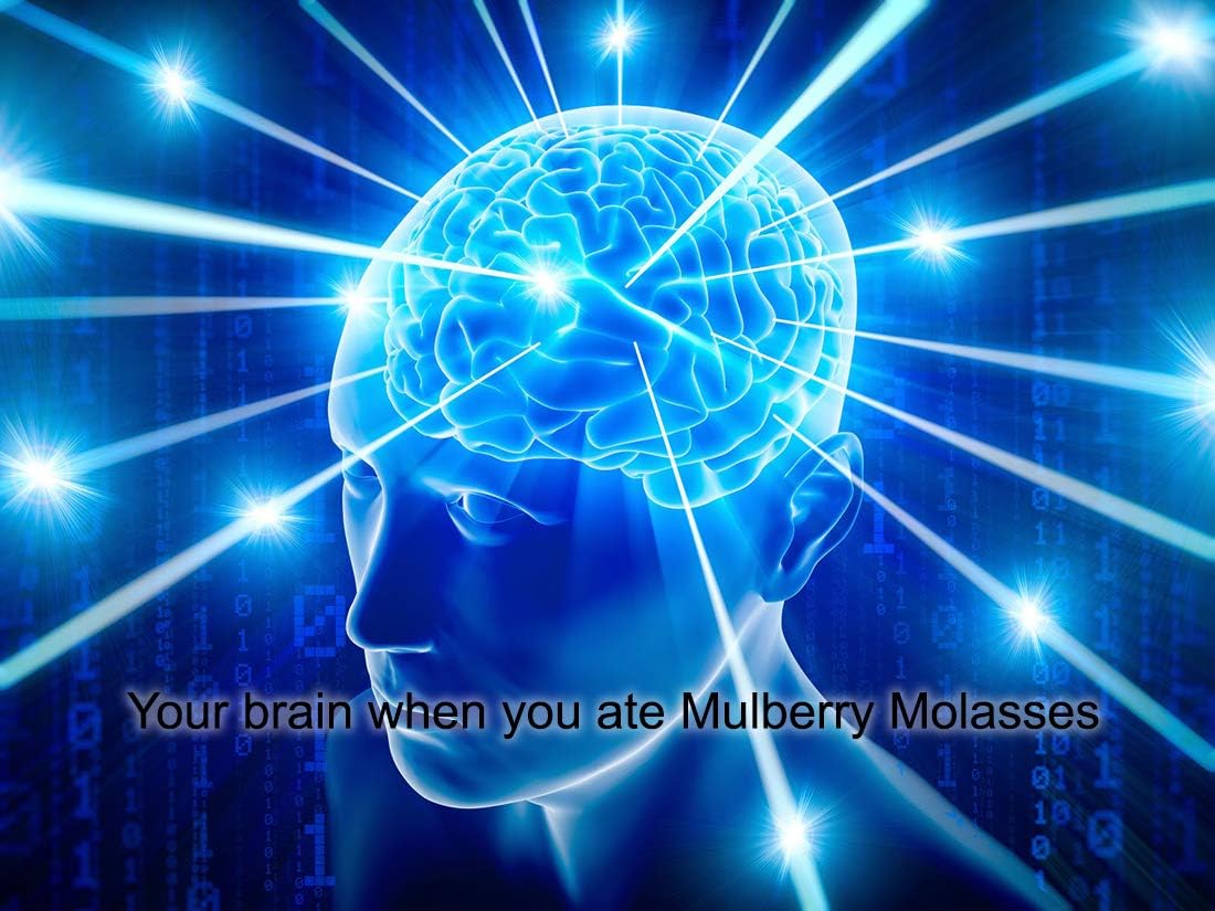 Organic ISOP Fulvic Acid Himalayan Shilajet Resin 10g - Authentic Mummyo from Himalaya Region - Natural Source of Trace Minerals - RAW (10g)