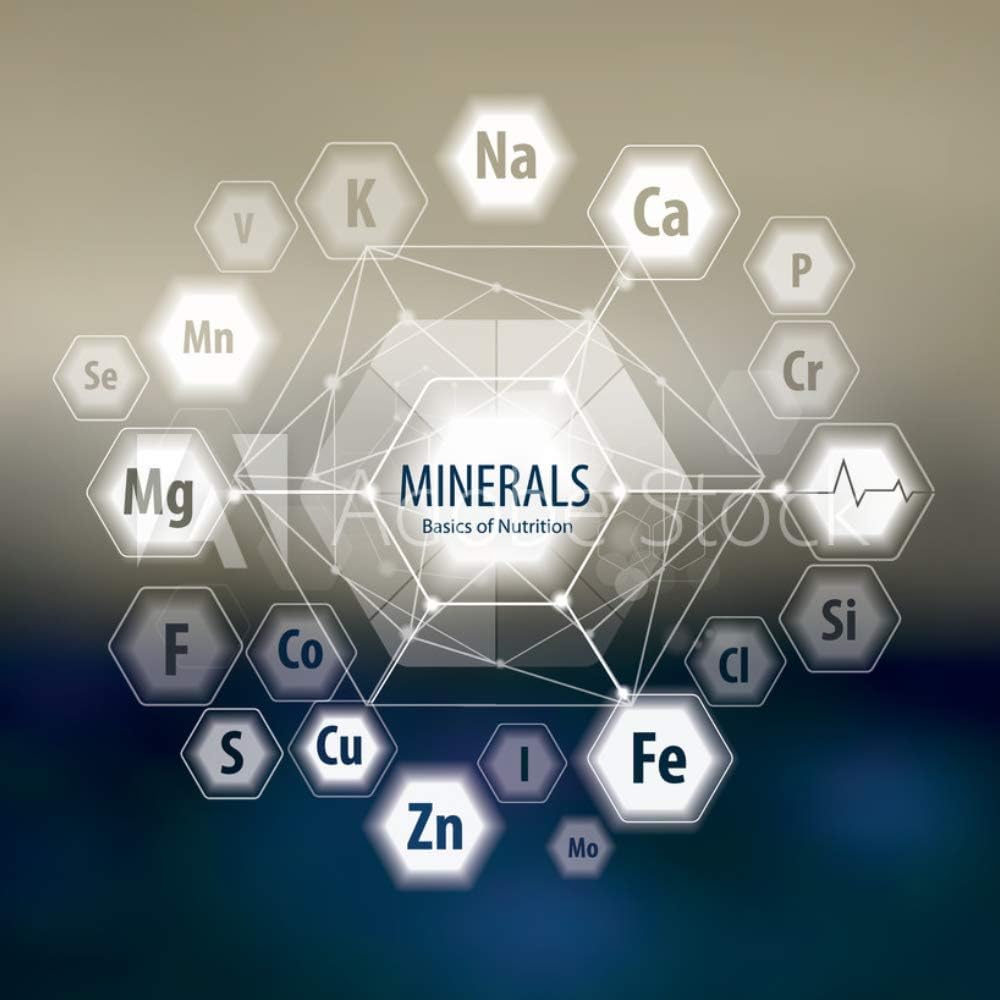 Organic ISOP Fulvic Acid Himalayan Shilajet Resin 10g - Authentic Mummyo from Himalaya Region - Natural Source of Trace Minerals - RAW (10g)