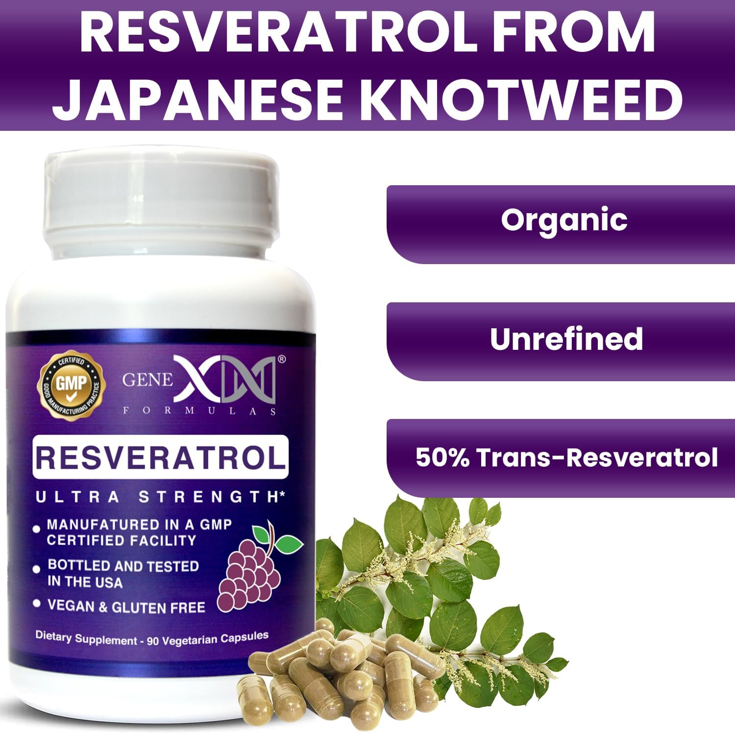 Organic Japanese Knotweed Resveratrol Supplement 1500mg with BioPerine for Absorption - Vegan, Gluten-Free Anti-Aging Capsules - 90 Count