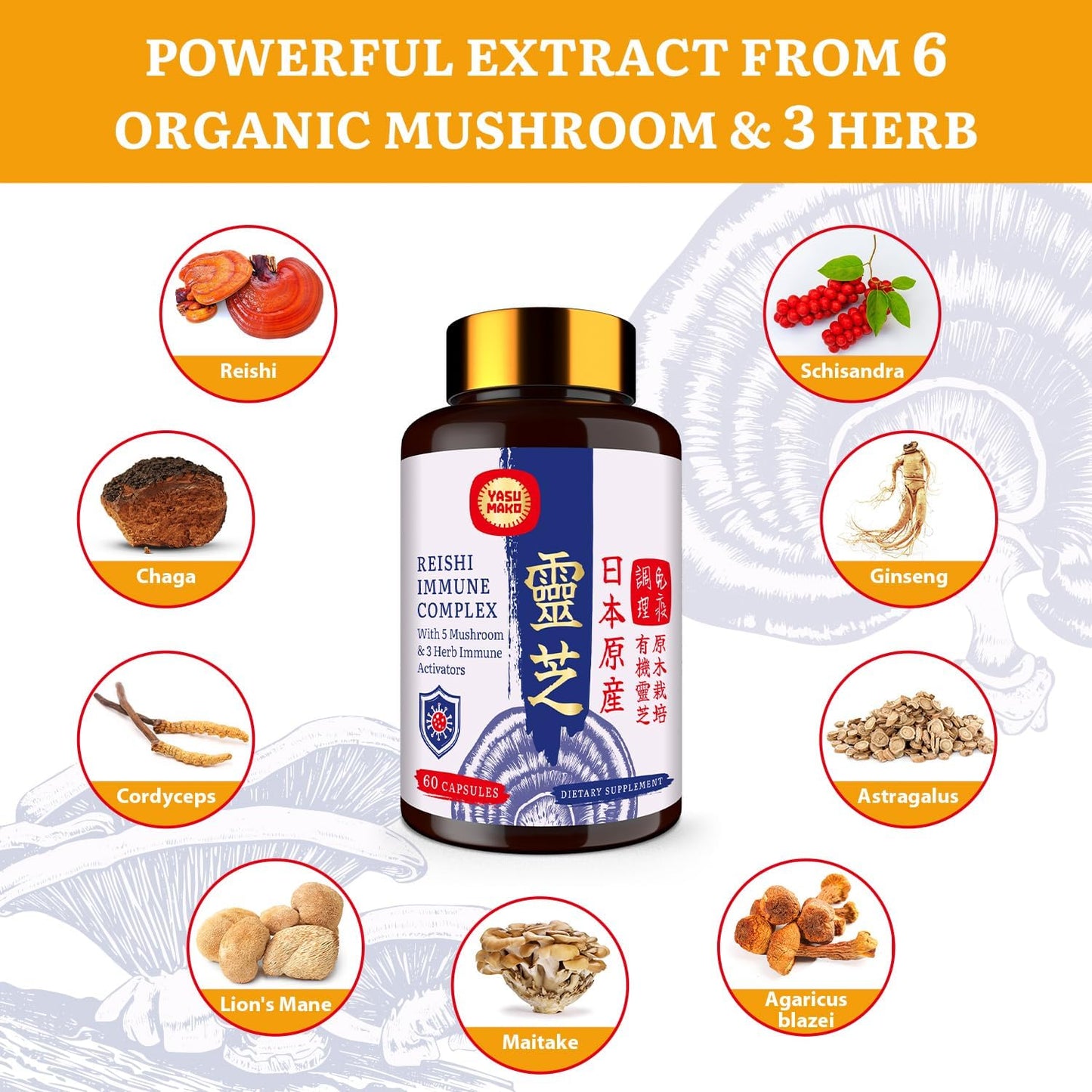 Organic Japanese Reishi Mushroom Complex Supplement 1500mg - Immune, Brain, Energy Support with Chaga, Cordyceps, Lion's Mane, Maitake, Agaricus Mushrooms Extract - Pack of 2