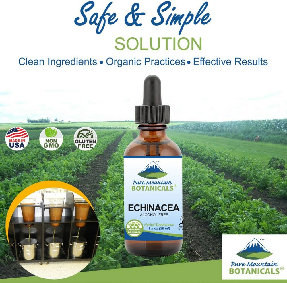 Organic Kosher Liquid Echinacea Drops - Alcohol-Free 500mg Extract - Pure Mountain Botanicals - 1oz Bottle