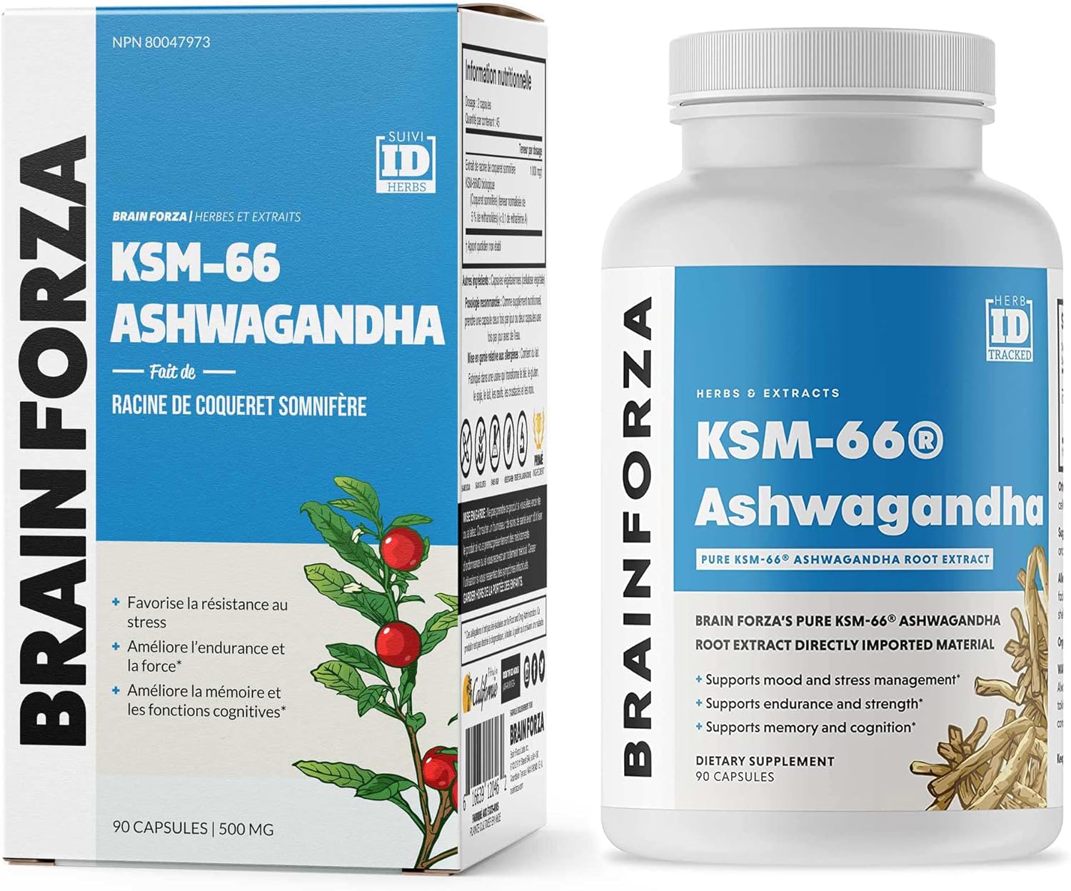 Organic KSM-66 Ashwagandha Extract 1,000mg - High Potency Cognitive & Hormone Support - 90 Capsules