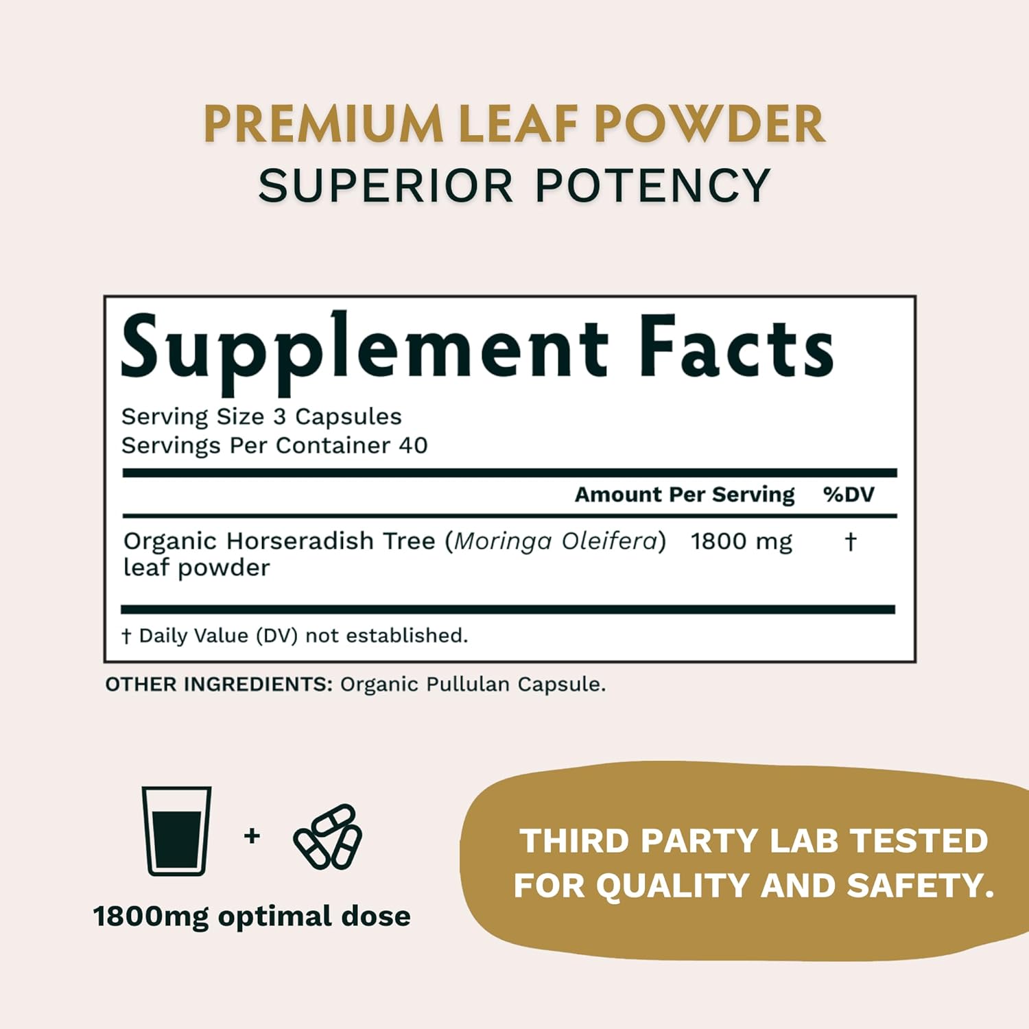 Organic KSM-66 Ashwagandha & Moringa Capsules - Vegan, 2 Month Supply for Brain Function, Focus, Energy & Strength by TRIBE ORGANICS