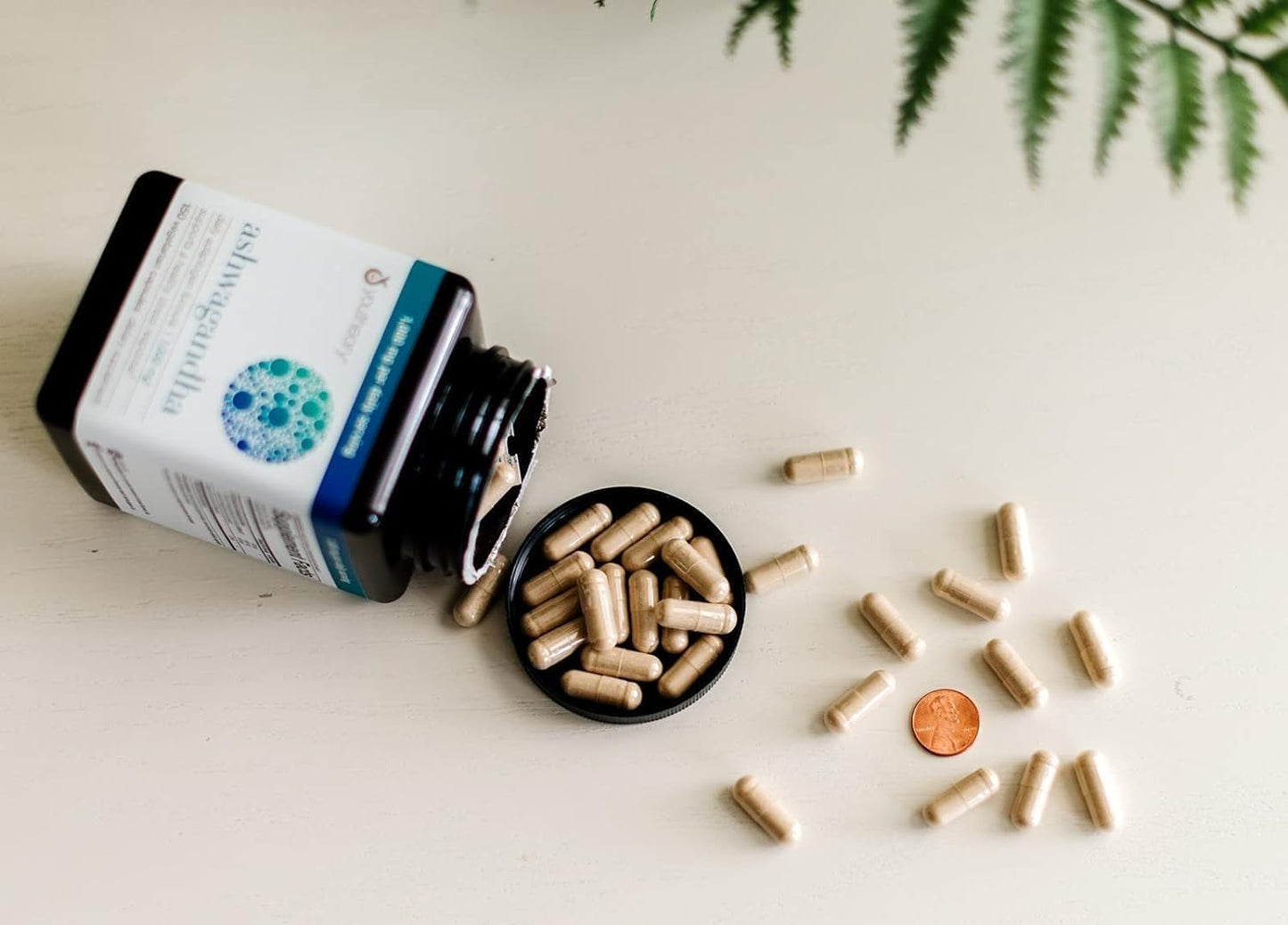 Organic KSM-66 Ashwagandha Supplement 180 Capsules, 1000mg Daily, Supports Healthy Stress Management