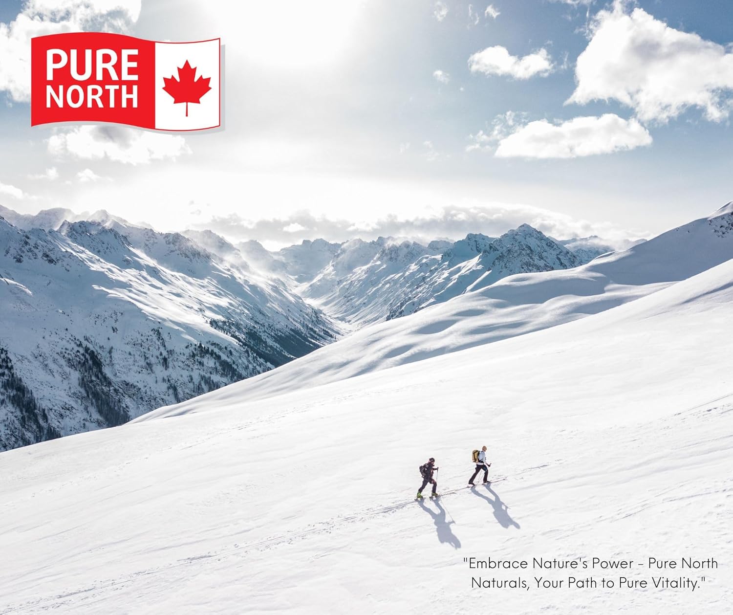 Organic L-Glutamine Powder for Gut & Digestive Health - 5000mg, 250g - Immune System & Muscle Repair Support - Made in Canada, 3rd Party Tested