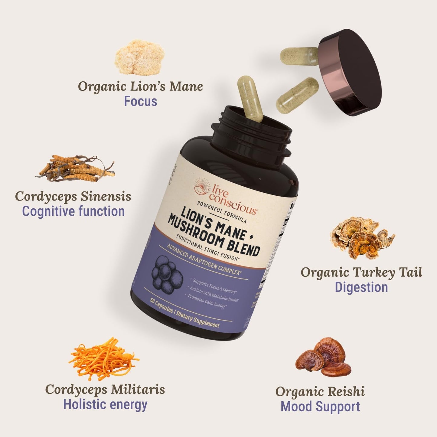 Organic Lions Mane Mushroom Capsules with Cordyceps, Reishi & Turkey Tail - Brain Support Supplement for Cognitive Memory - 2 Pack