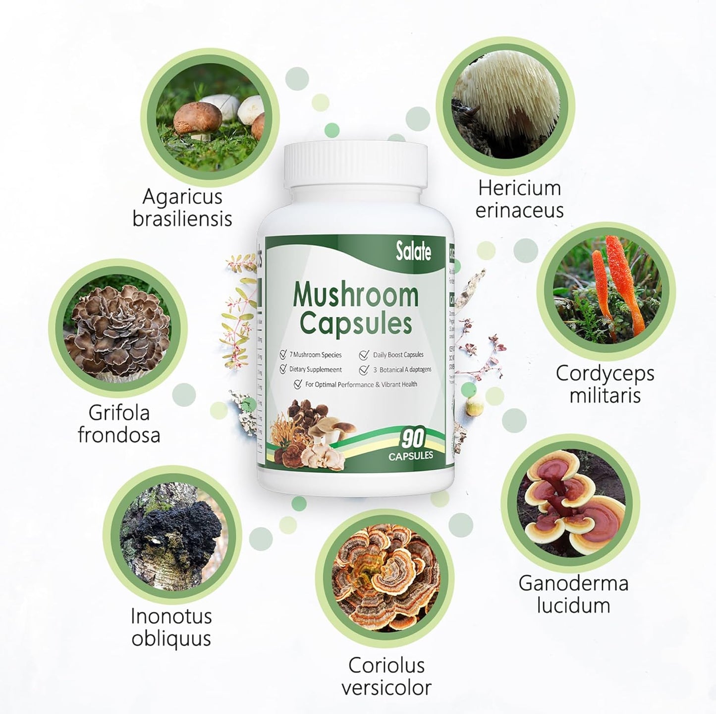 Organic Lion's Mane Mushroom Extract Capsules for Memory, Focus & Immune Support - 100% Fruit Body Extracts, Vegan (90 Caps)