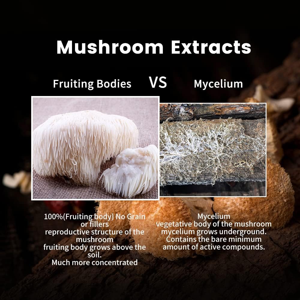 Organic Lions Mane Mushroom Powder for Memory, Concentration, and Mood Support - Non-GMO and Gluten-Free - 50 Servings