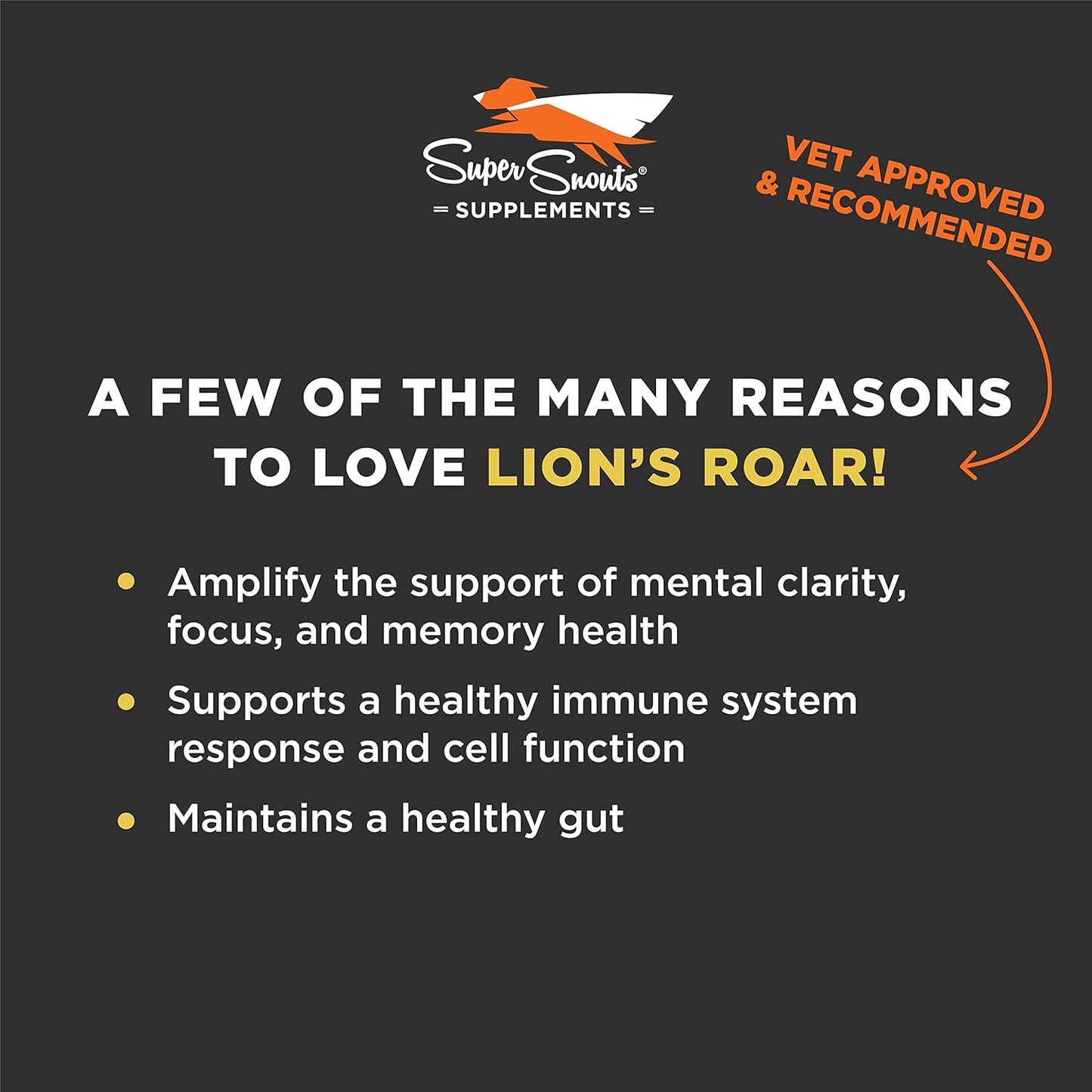 Organic Lion's Mane Mushroom Supplement for Dogs and Cats - USA Made Cognitive Health Formula