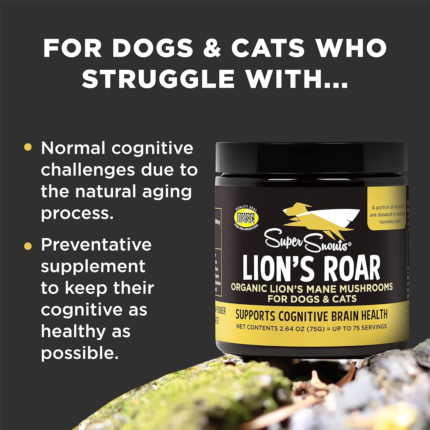 Organic Lion's Mane Mushroom Supplement for Dogs and Cats - USA Made Cognitive Health Formula