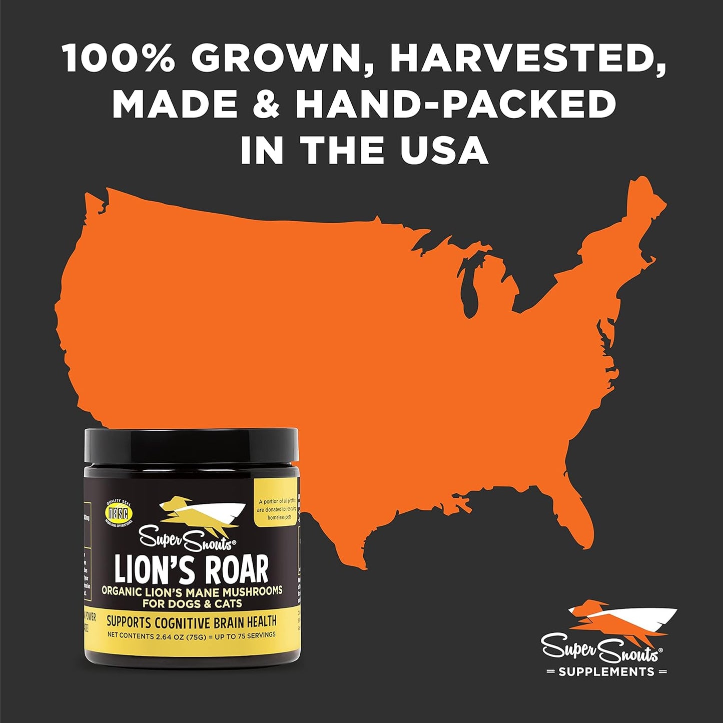 Organic Lion's Mane Mushroom Supplement for Dogs and Cats - USA Made Cognitive Health Formula