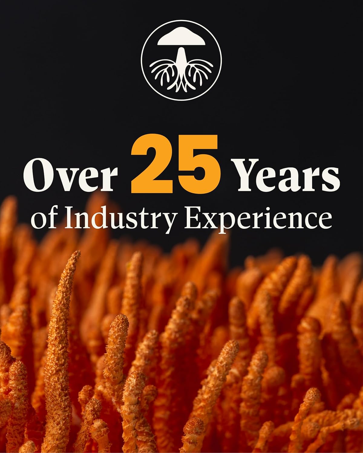 Organic Lion's Mane & Reishi Mushroom Capsules - Cognitive Health Support