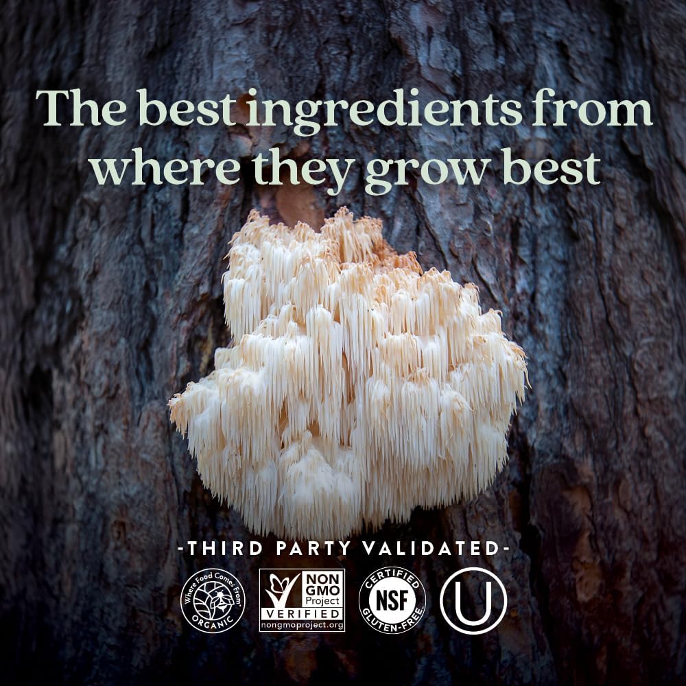 Organic Lion's Mane + Reishi Mushroom Nootropic Supplement for Mental Clarity - Vegan and Non-GMO - 60 ct