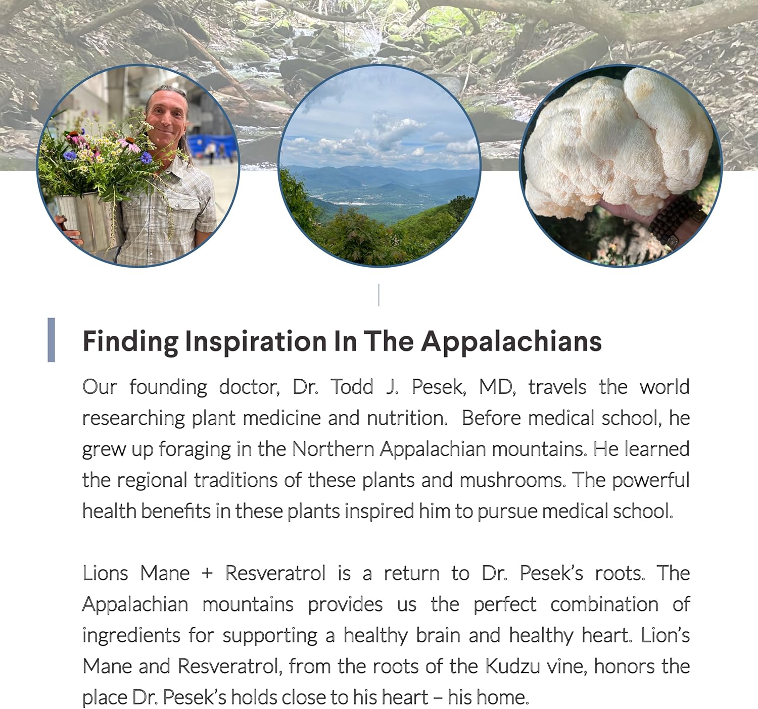 Organic Lion's Mane & Resveratrol Capsules - 800mg Lion's Mane Extract, Plant-Based Trans Resveratrol, Brain Health Supplement, 60ct.