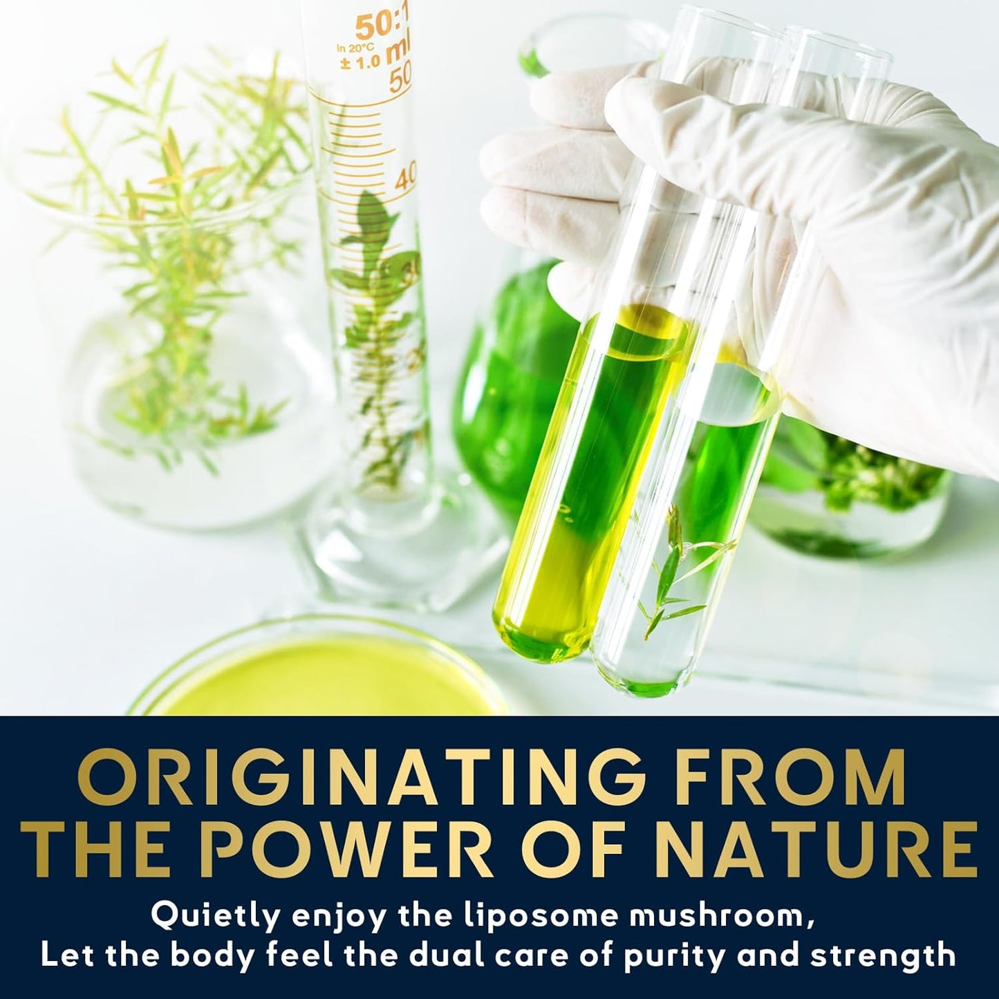 Organic Liposomal Mushroom Complex Drops for Memory, Focus & Cognition - Lion's Mane, Cordyceps, Reishi - 2.1 Fl Oz