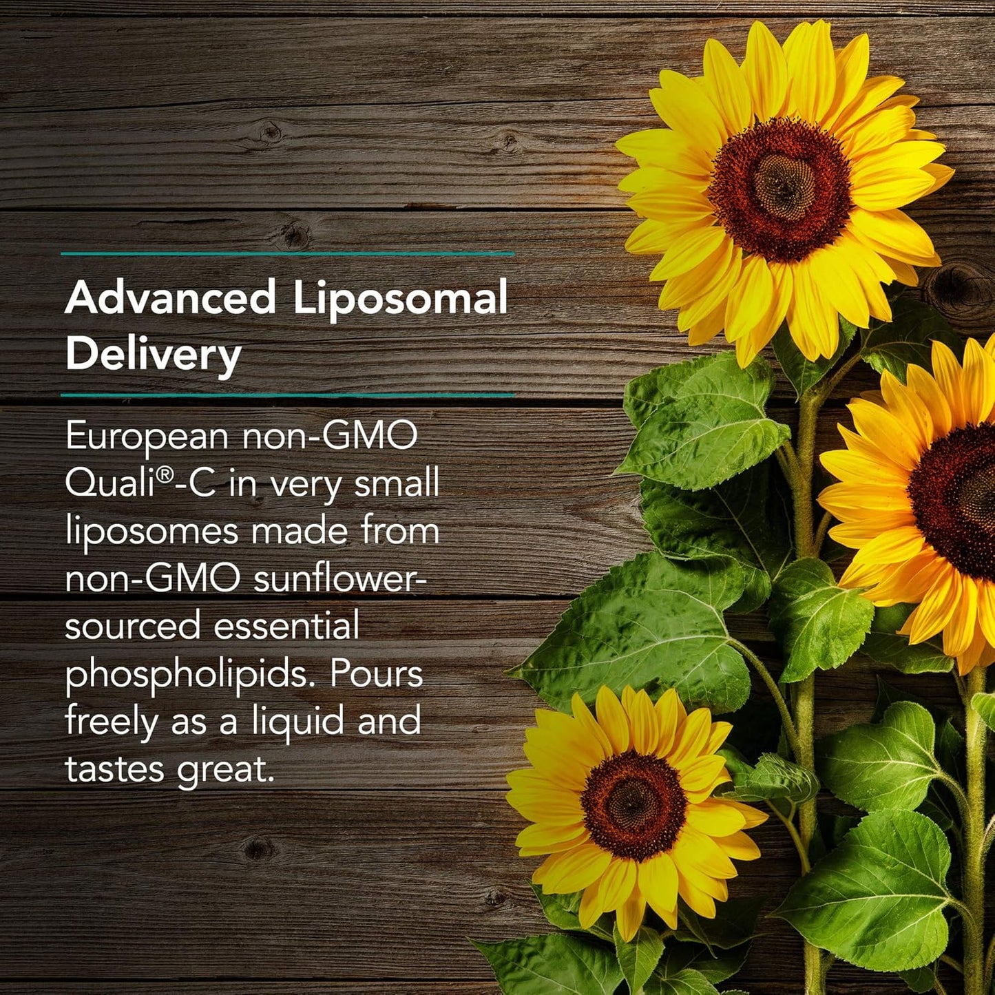 Organic Liposomal Vitamin C Supplement 1000mg - Liquid Formula with Sunflower Phospholipids and Sodium Ascorbate - 4 Fl Oz