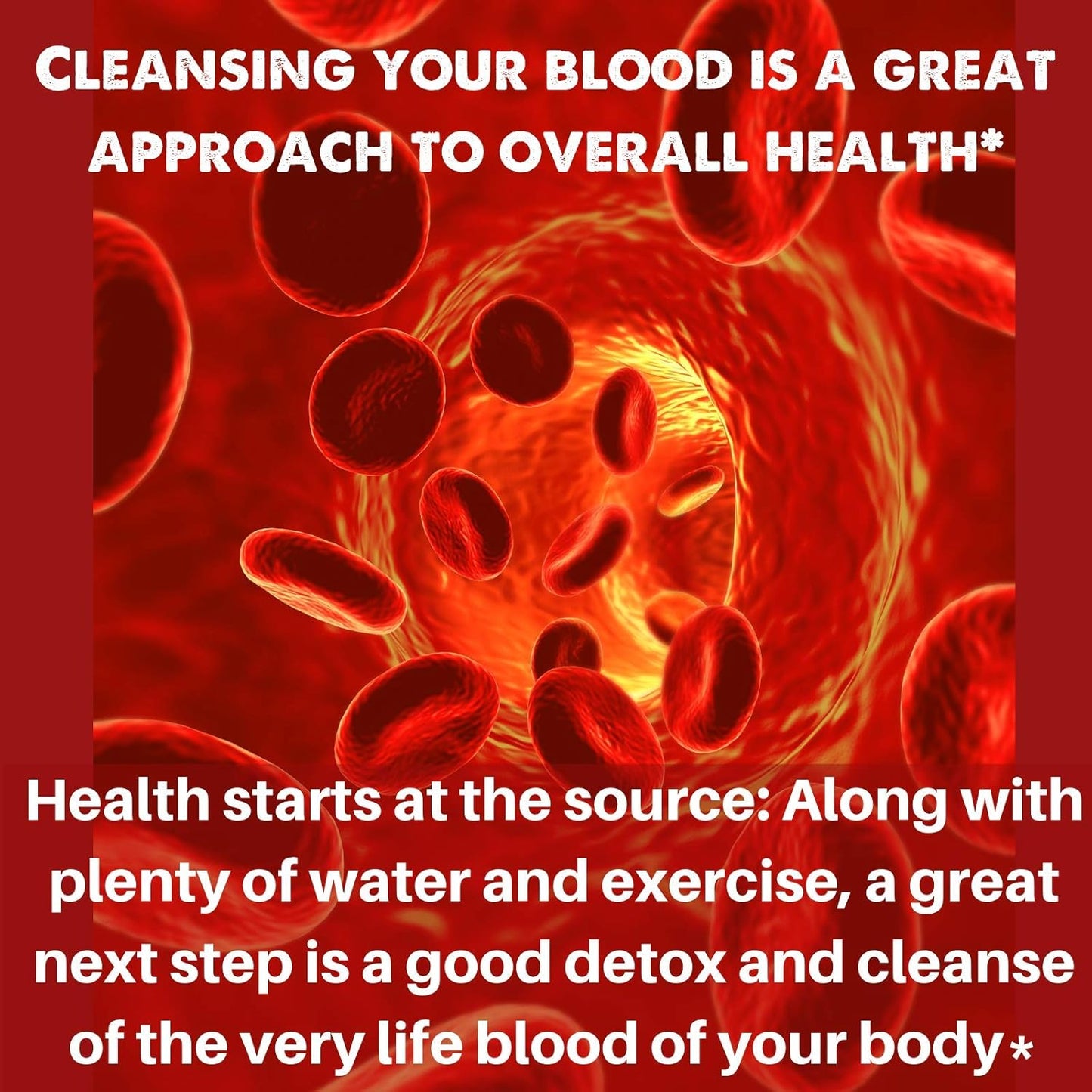 Organic Liquid Blood Cleanser Supplement - SpeedyVite® (2 fl oz) Drops