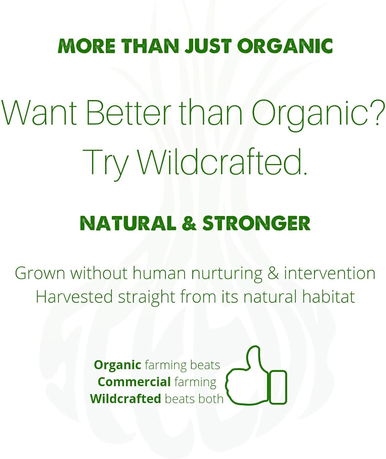 Organic Liquid Blood Cleanser Supplement - SpeedyVite® (2 fl oz) Drops