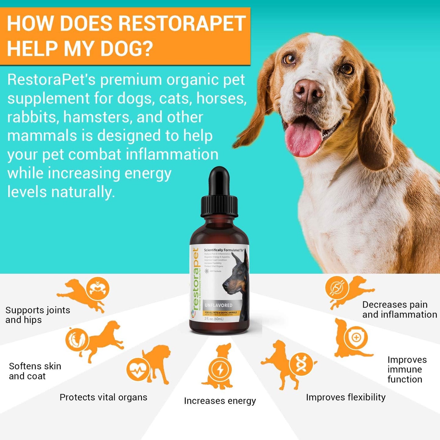 Organic Liquid Multivitamin 4-Pack for Dogs & Cats | Joint Pain Relief | Anti Inflammatory Supplement | Vet Approved & Non-GMO