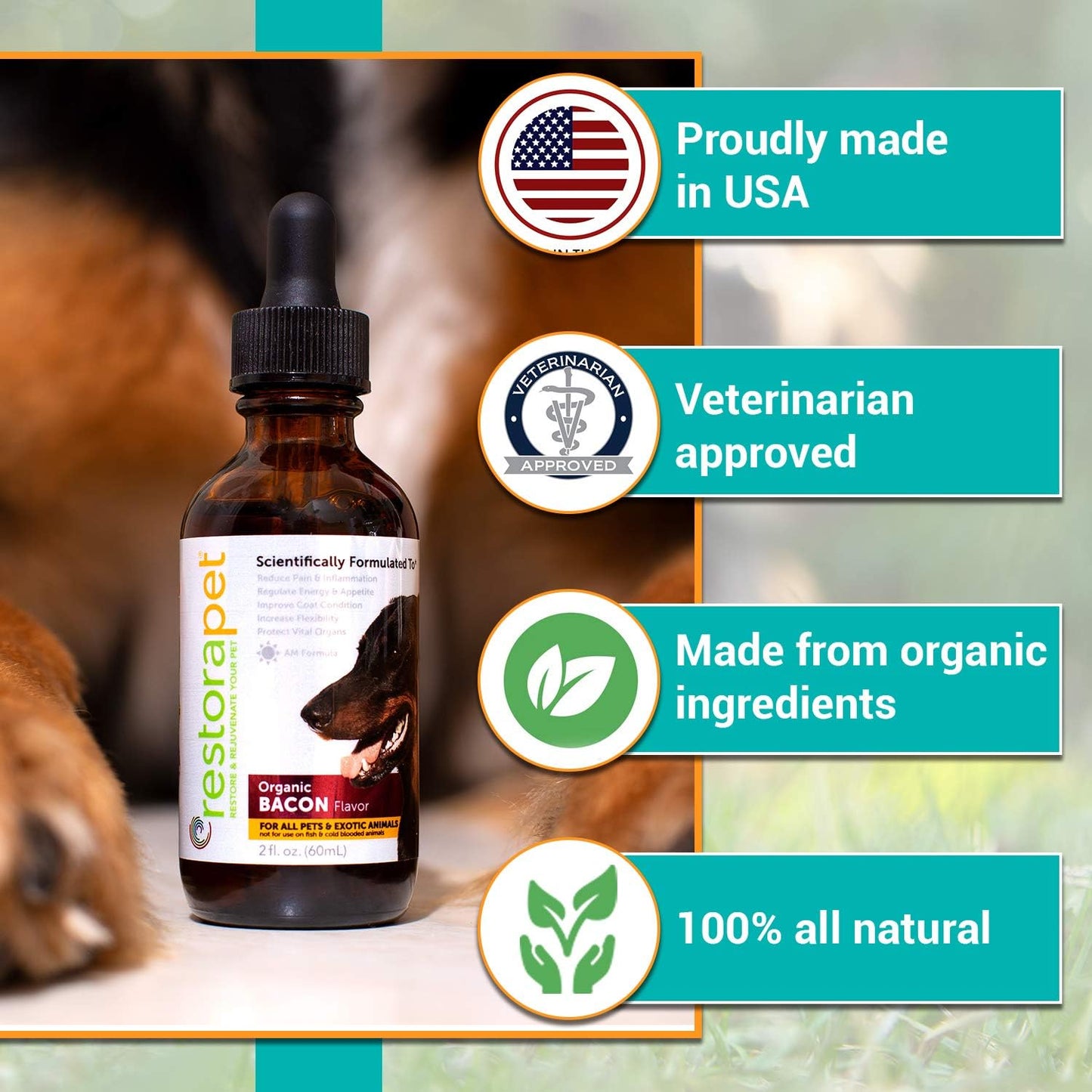 Organic Liquid Multivitamin 4-Pack for Dogs & Cats | Joint Pain Relief | Anti Inflammatory Supplement | Vet Approved & Non-GMO