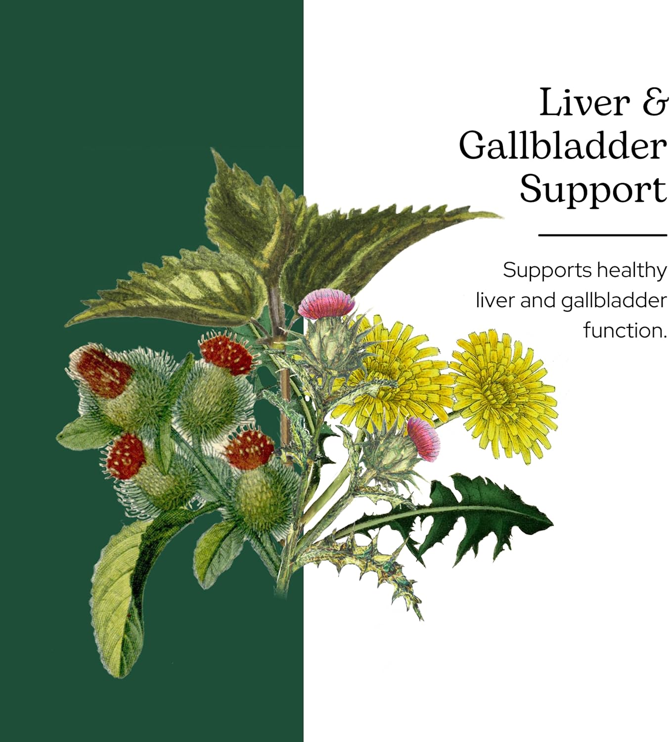 Organic Liver and Gallbladder Support Powder with Milk Thistle and Beet Juice - 90g