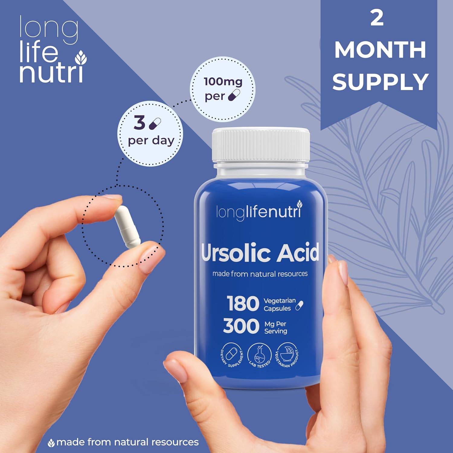 Organic LongLifeNutri Ursolic Acid 300mg Capsules - Rosemary Leaf Extract, 180 Vegetarian Caps, Muscle Growth & Recovery Supplement, 2-Month Supply, Lab Tested, GMP Certified, USA Made