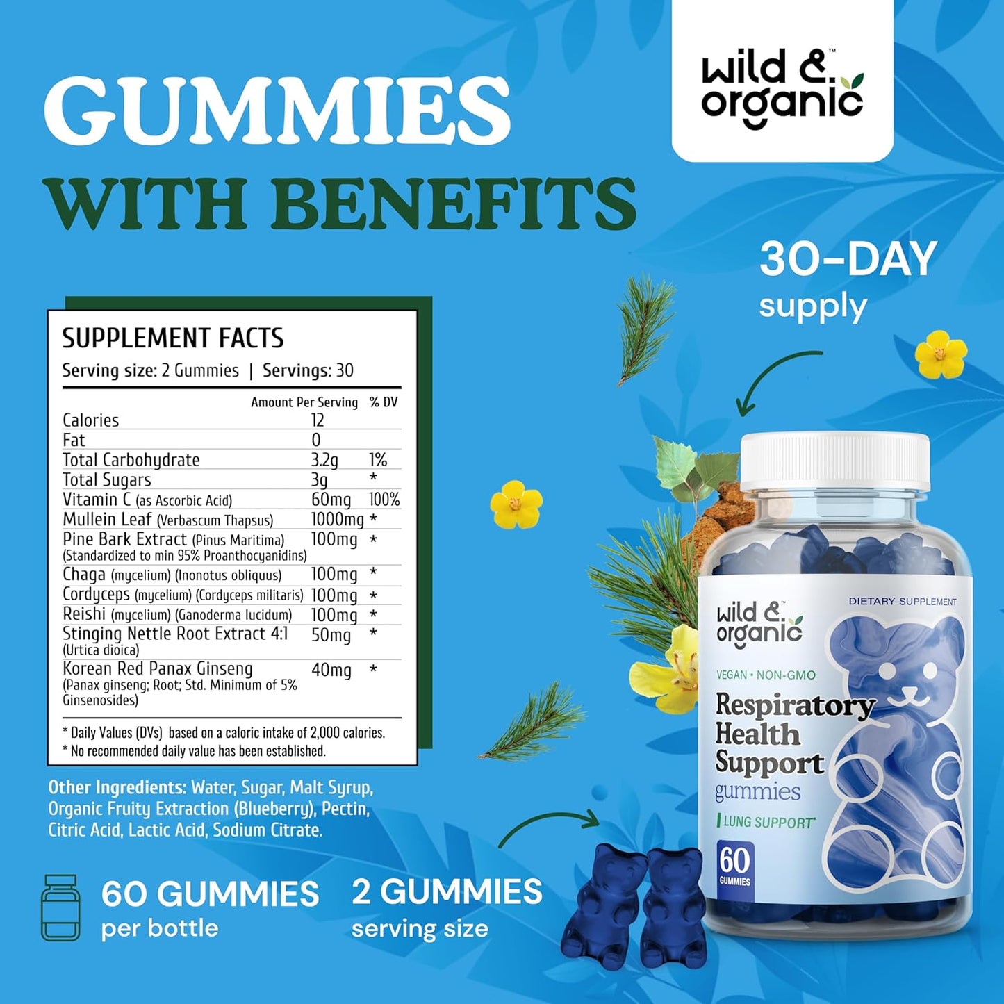 Organic Lung Cleanse Gummies - 1000mg Mullein & Mushroom Blend for Lungs - Vegan & Non-GMO - 60 Chews