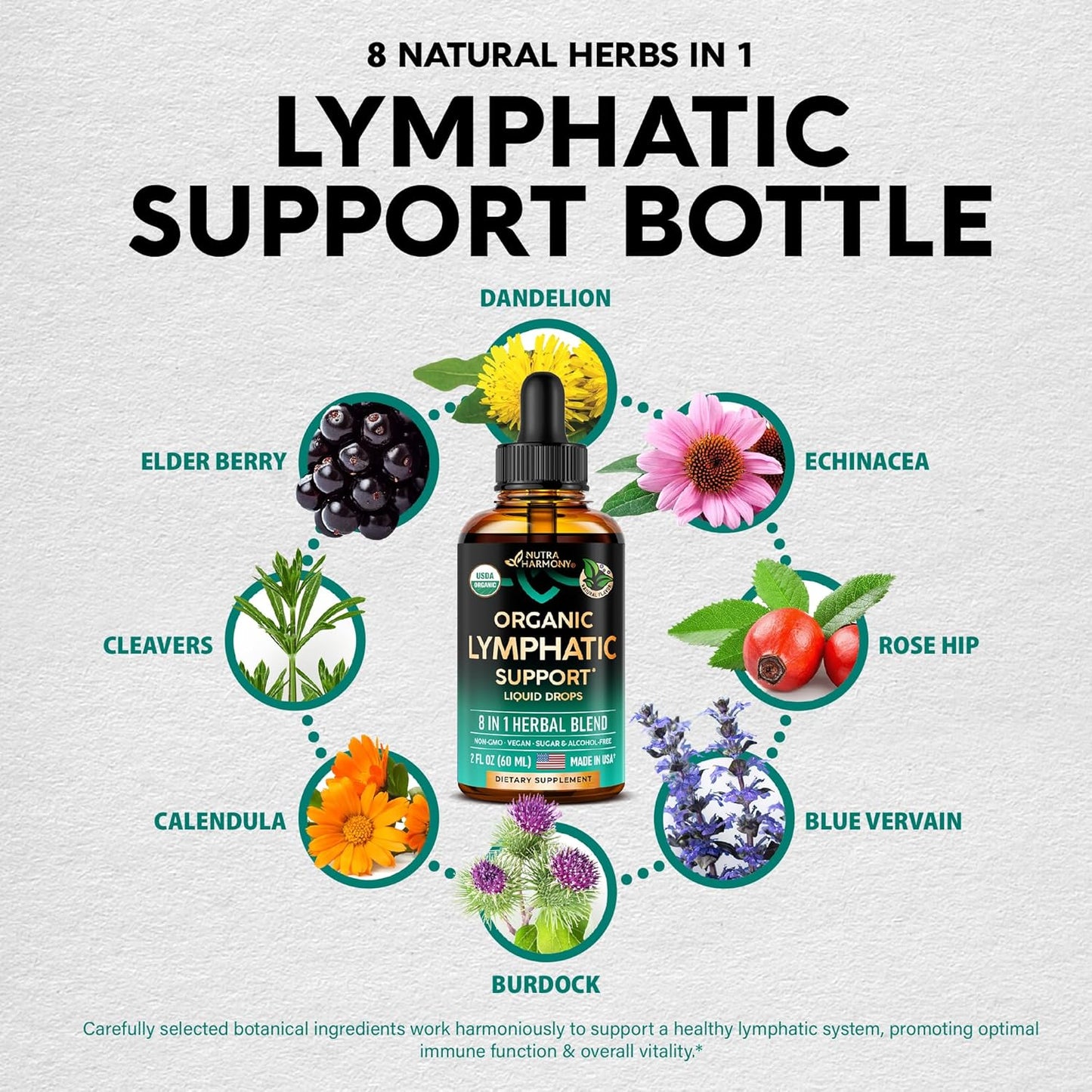 Organic Lymphatic Drainage Supplement with Echinacea, Elderberry, Dandelion, Rosehip - Made in USA - Immune Support, Cleanse & Detox - 2 Pack