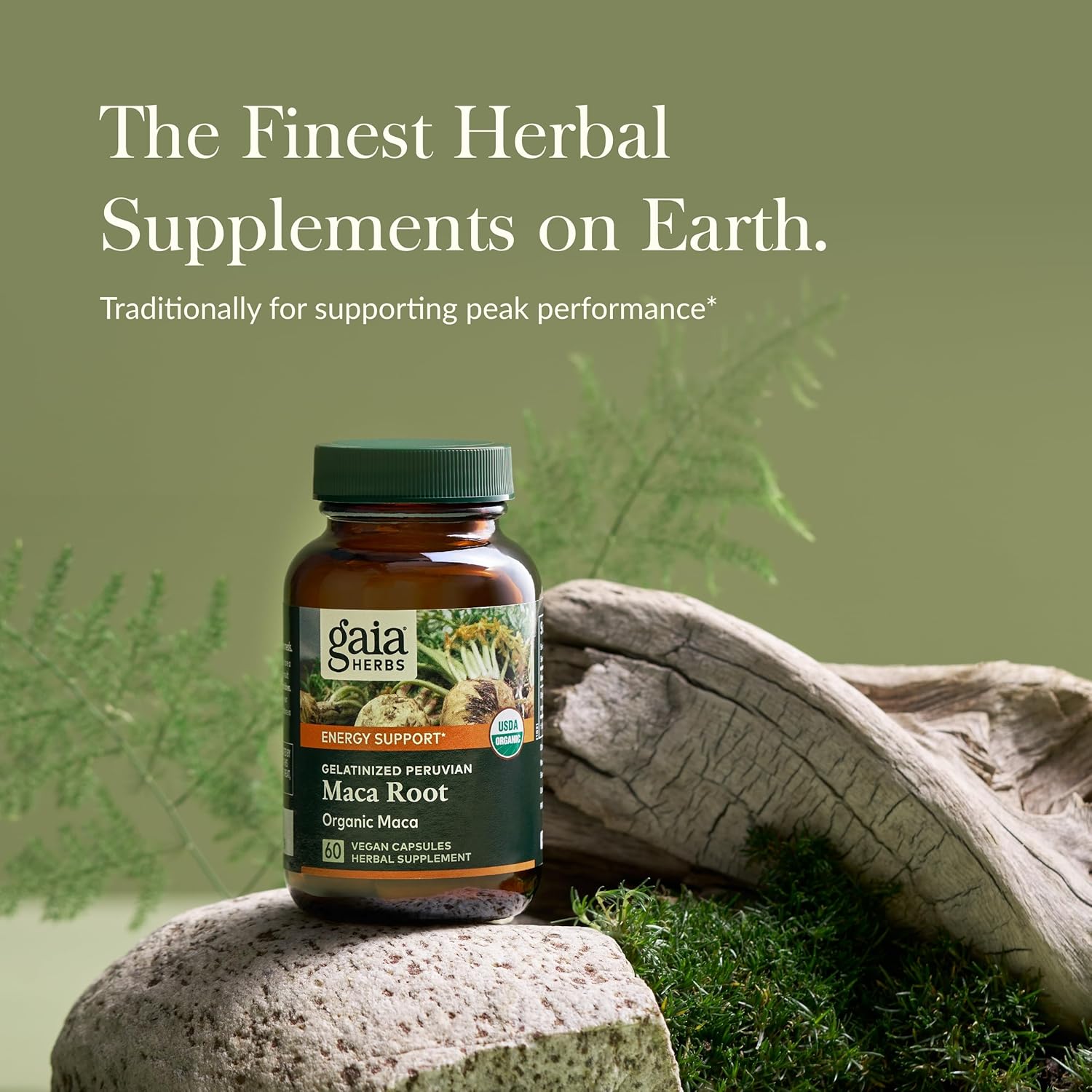 Organic Maca Root Supplement for Healthy Energy & Stamina - Caffeine-Free Energy Booster - 60 Vegan Capsules - Gaia Herbs