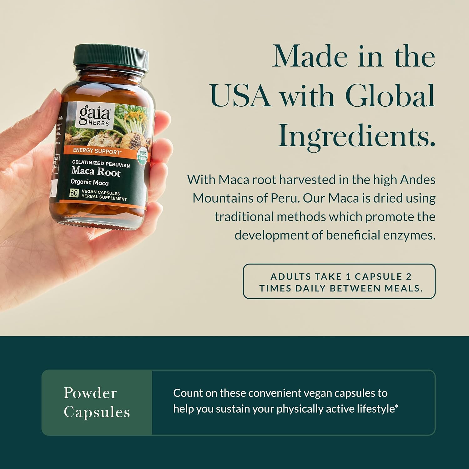 Organic Maca Root Supplement for Healthy Energy & Stamina - Caffeine-Free Energy Booster - 60 Vegan Capsules - Gaia Herbs