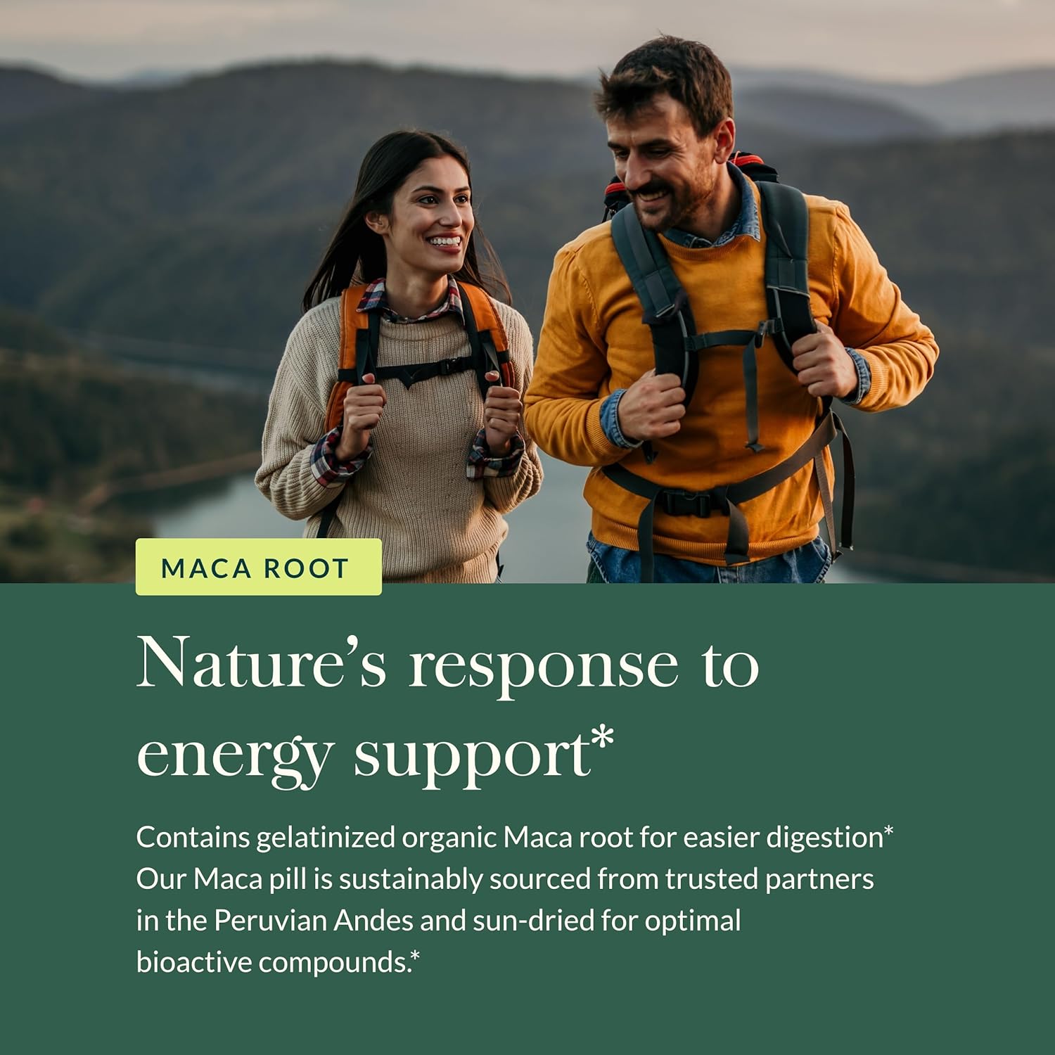 Organic Maca Root Supplement for Healthy Energy & Stamina - Caffeine-Free Energy Booster - 60 Vegan Capsules - Gaia Herbs