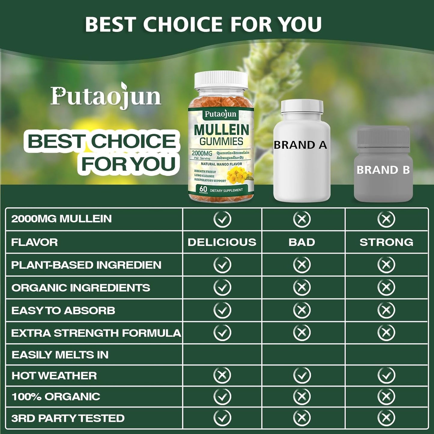 Organic Mango Flavored Mullein Gummies for Lung Health | Vegetarian Mullein Supplements for Immune Support | Non-Sticky Mullein Leaf Extract Gummies - 2 Pack